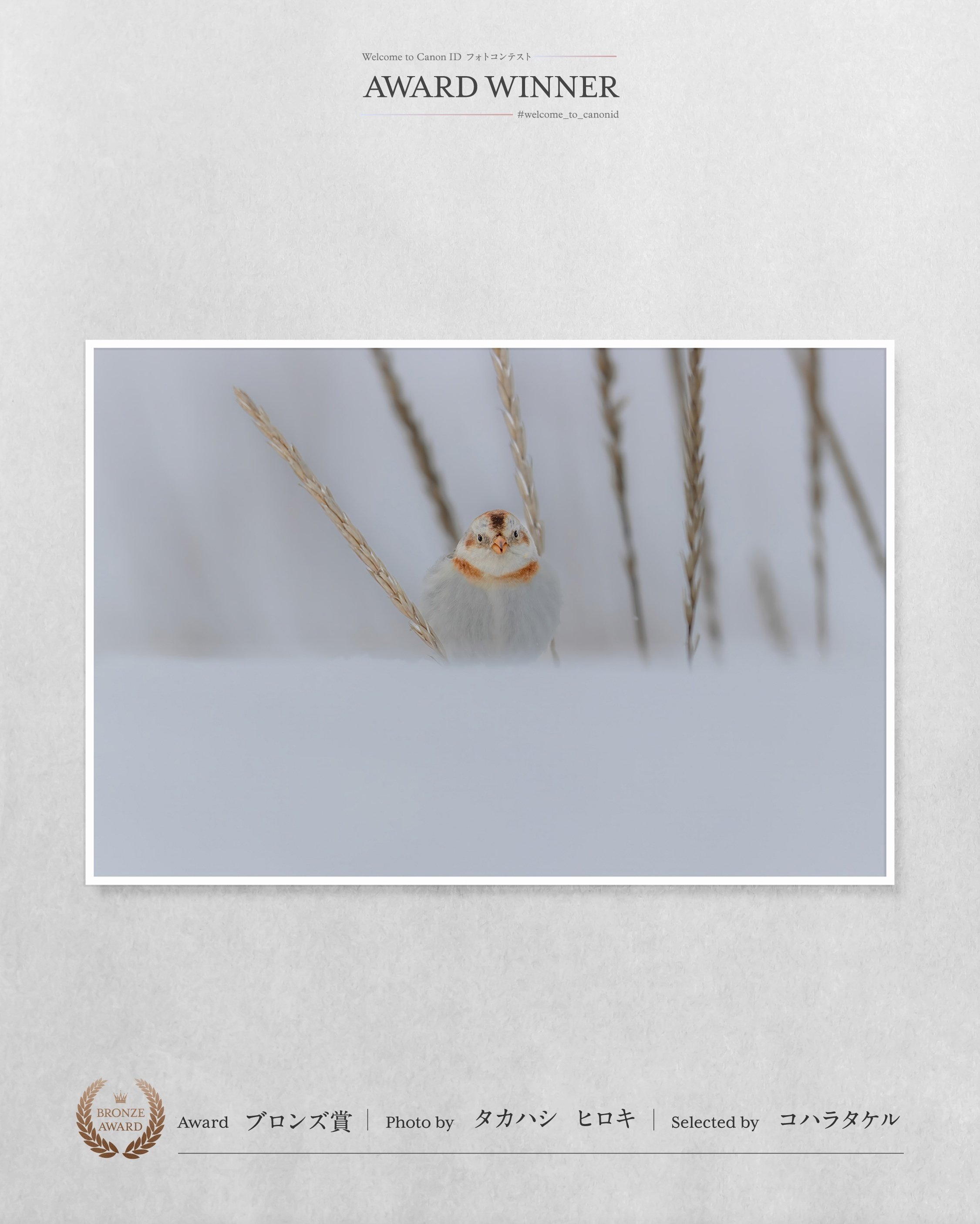 rectangle_large_type_2_a720e83