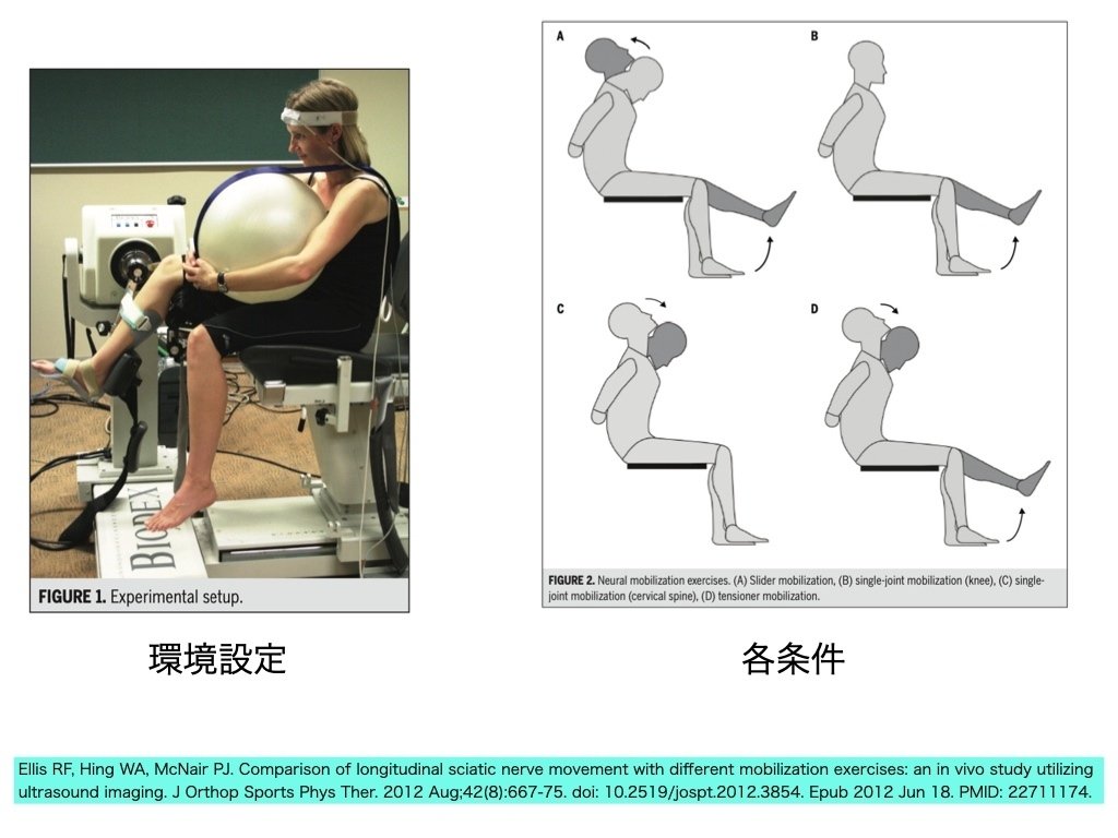 神経系モビライゼーション：どのくらい滑る？②」｜Daikumi＠理学療法士