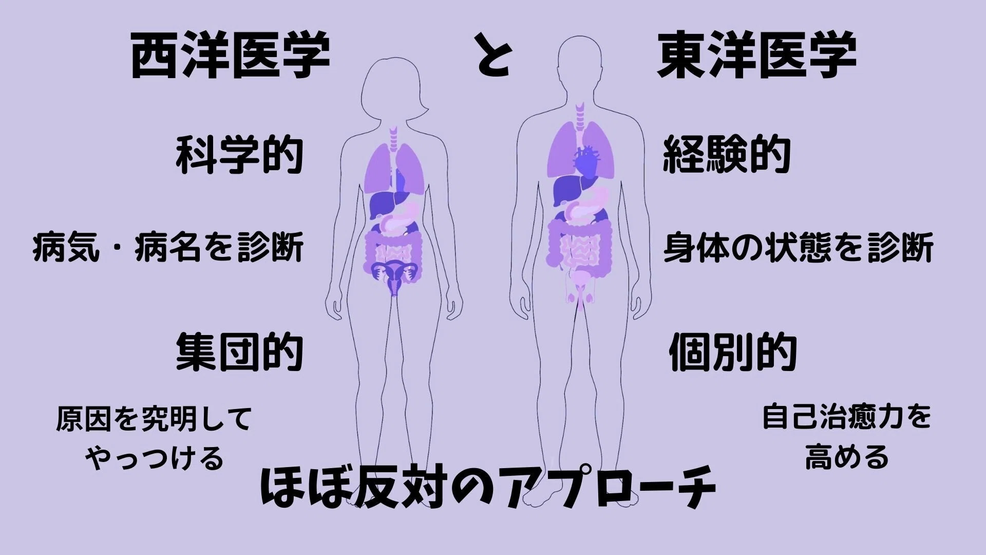 いのちのレジリエンス』 漢方とブリーフセラピーを精神科治療に生かす