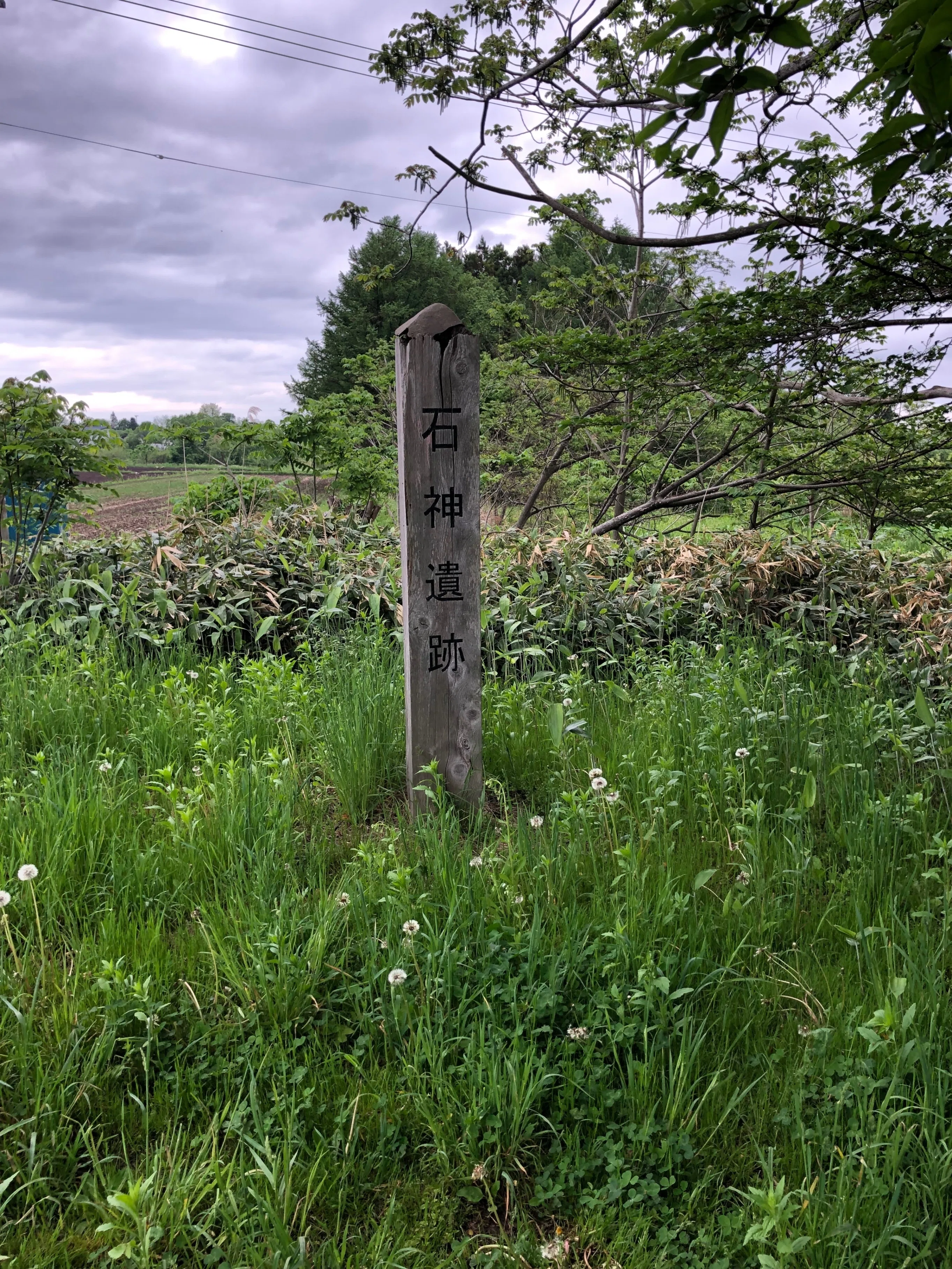 孤独の考古館］no.2 つがる市森田歴史民俗資料館｜縄文ZINE_note