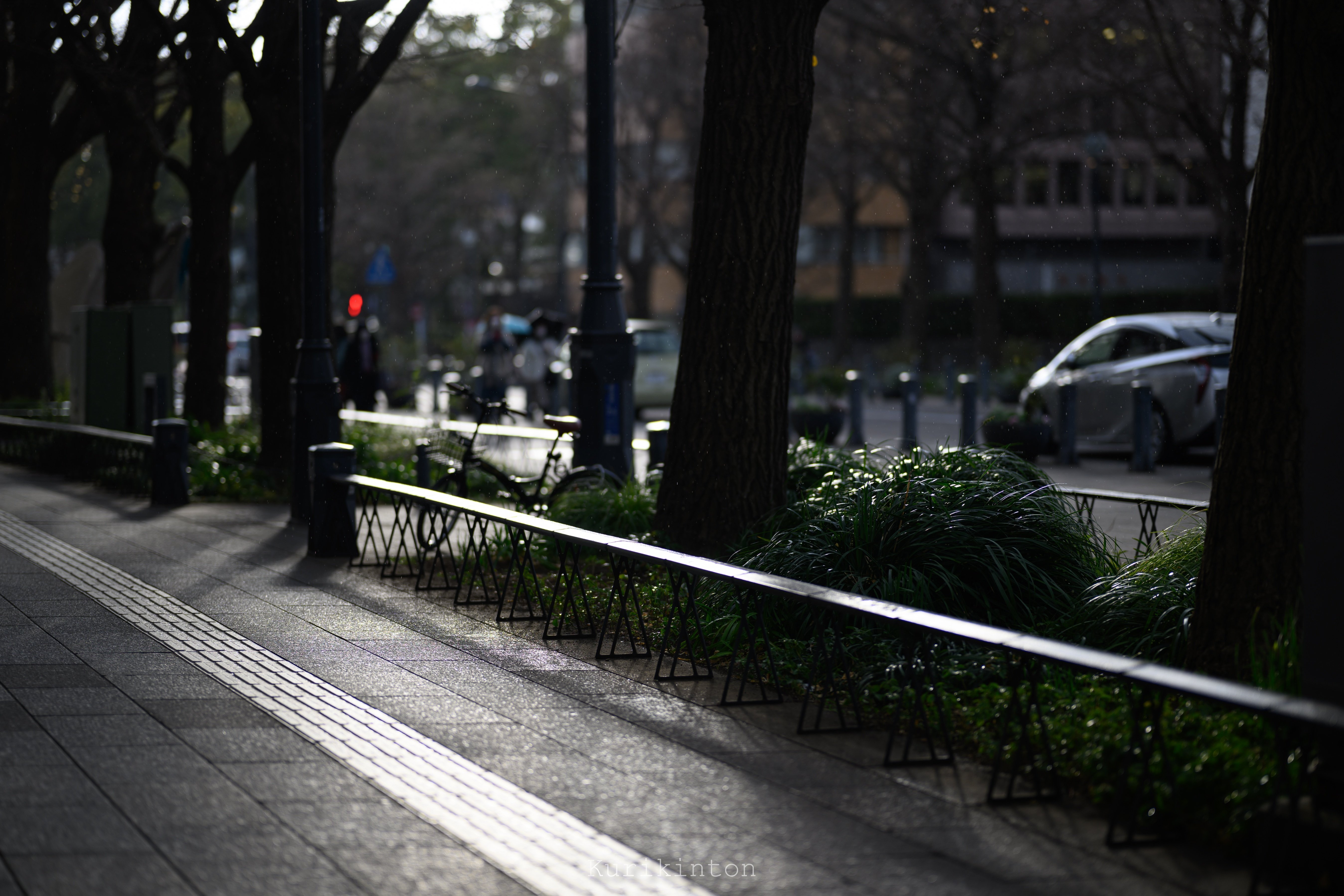 雑感①：NIKKOR Z 85mm f1.2S｜栗きんとん