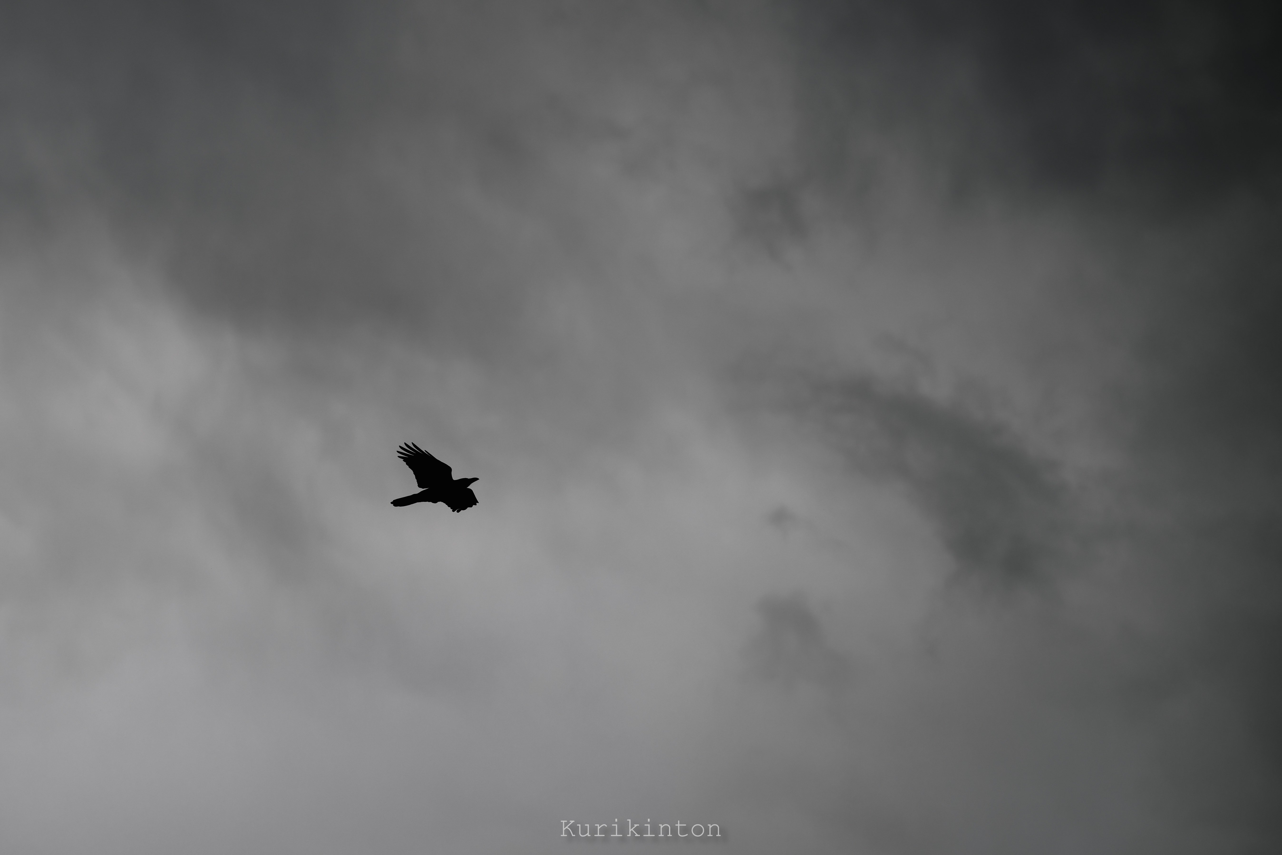 雑感①：NIKKOR Z 85mm f1.2S｜栗きんとん