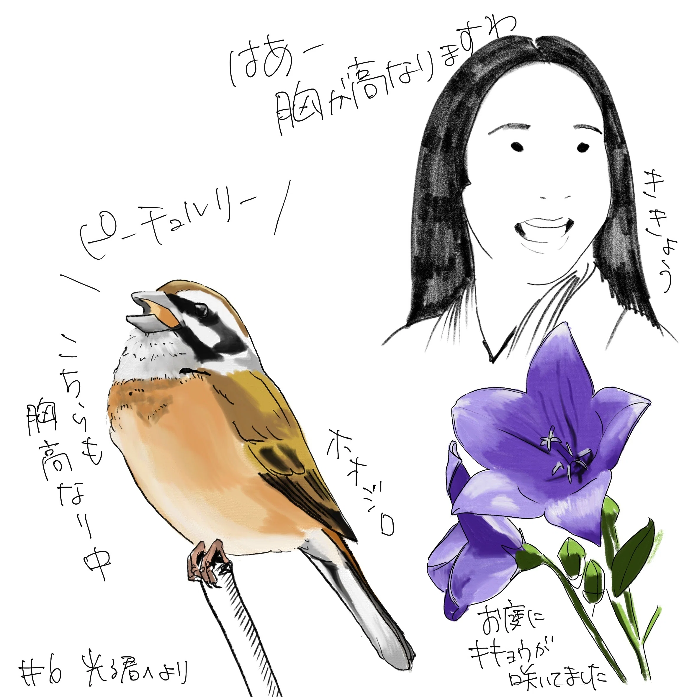 光る君へ6話 もしかして毎回違う鳥を鳴かせるつもりでは？｜くま