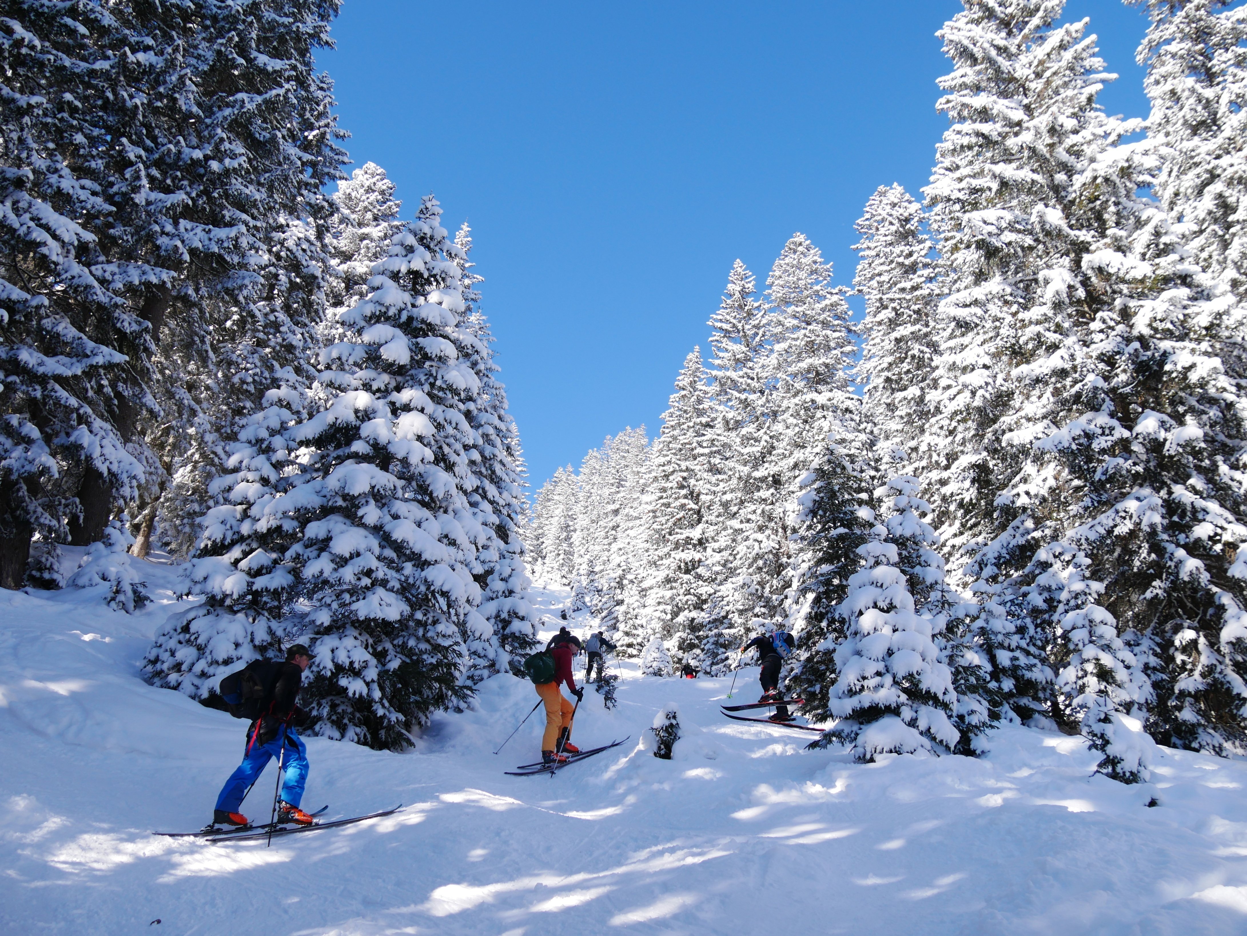 決まりました】雪山のスキー、バックカントリーなどに使える山道具一式