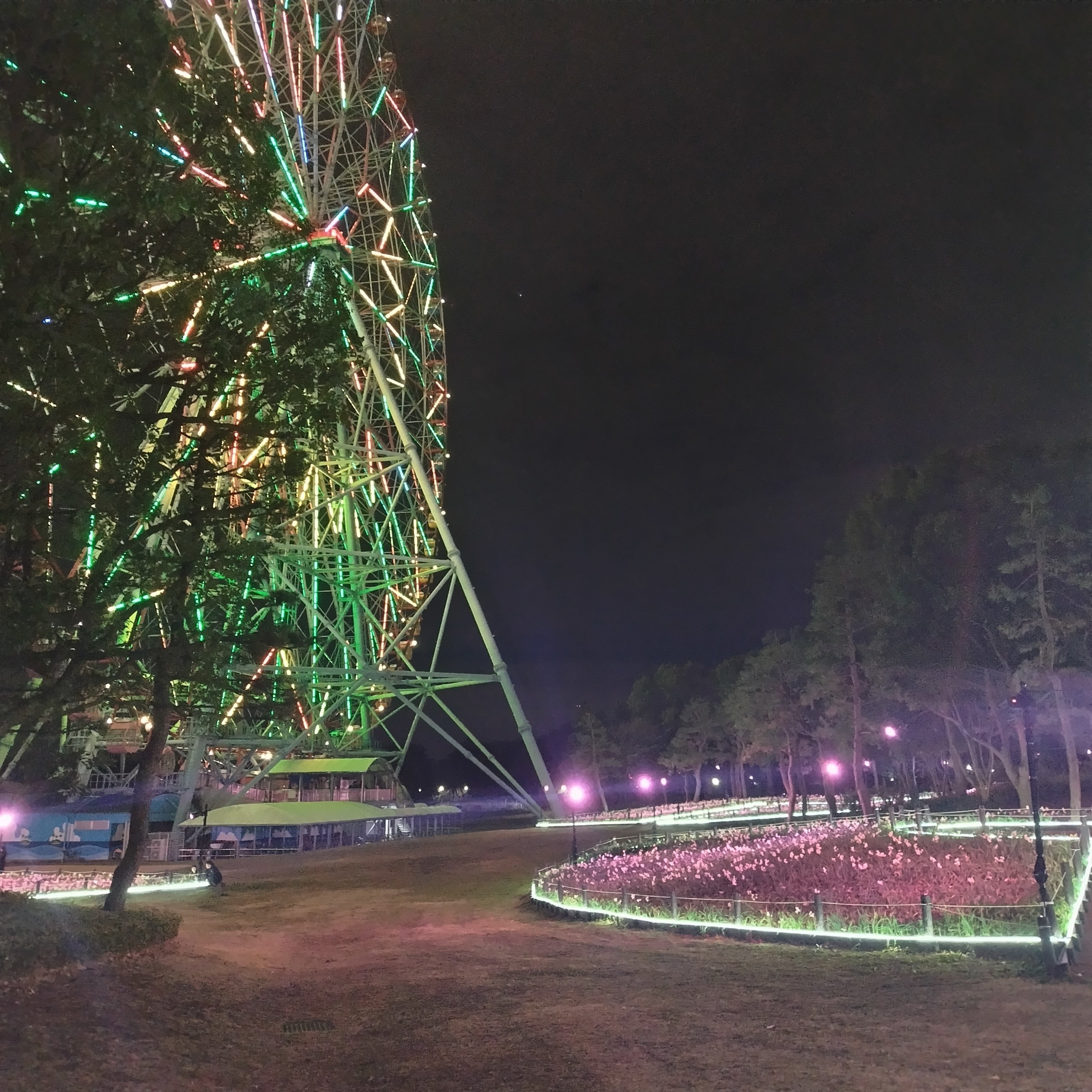 photo diary】水仙ライトアップ〈葛西臨海公園〉｜深拍-mihaku-