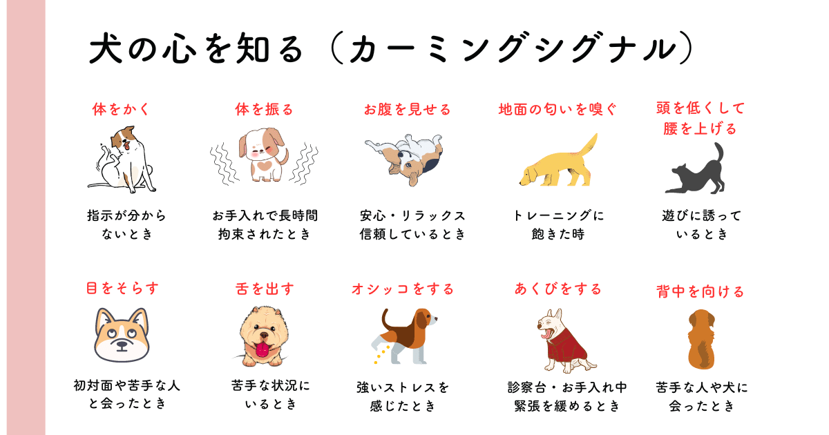 犬心を知るカーミングシグナルとは？｜陽だまり