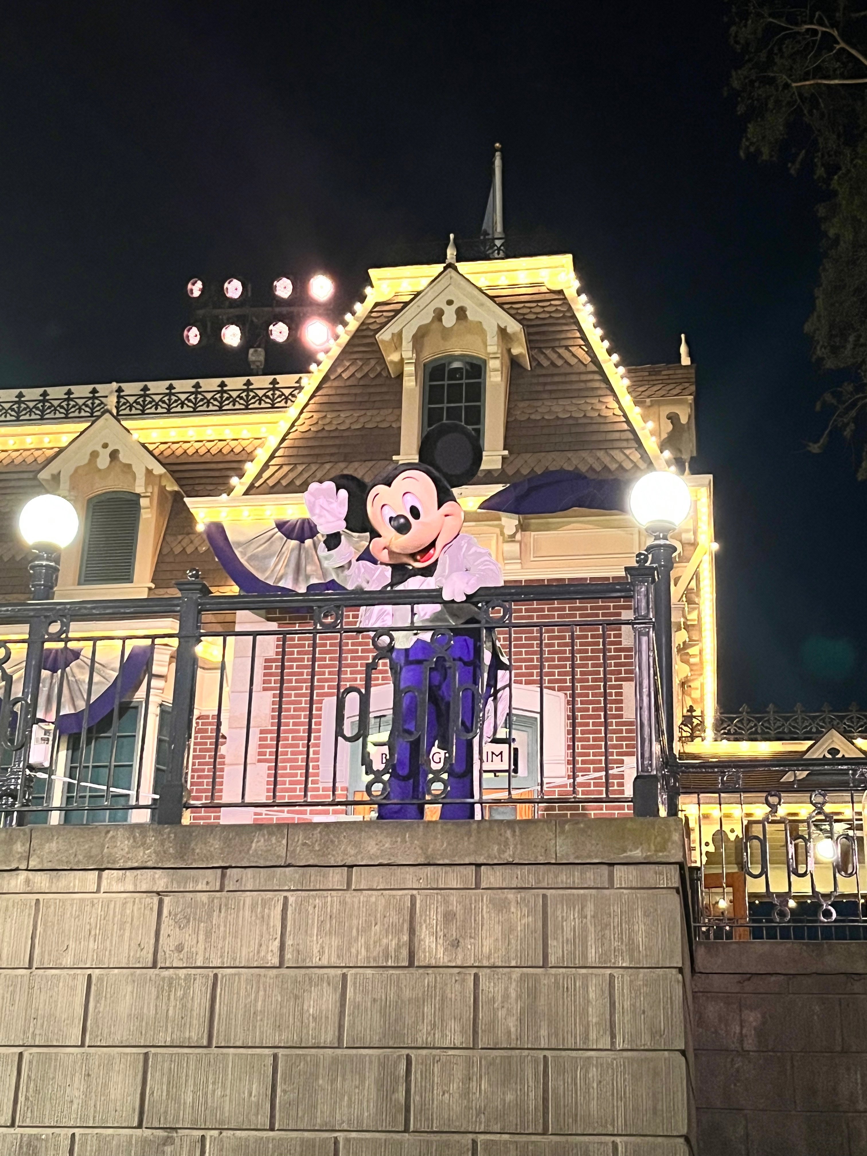 ウッディ　LAディズニーランド アトラクション | ディズニーランド・リゾート