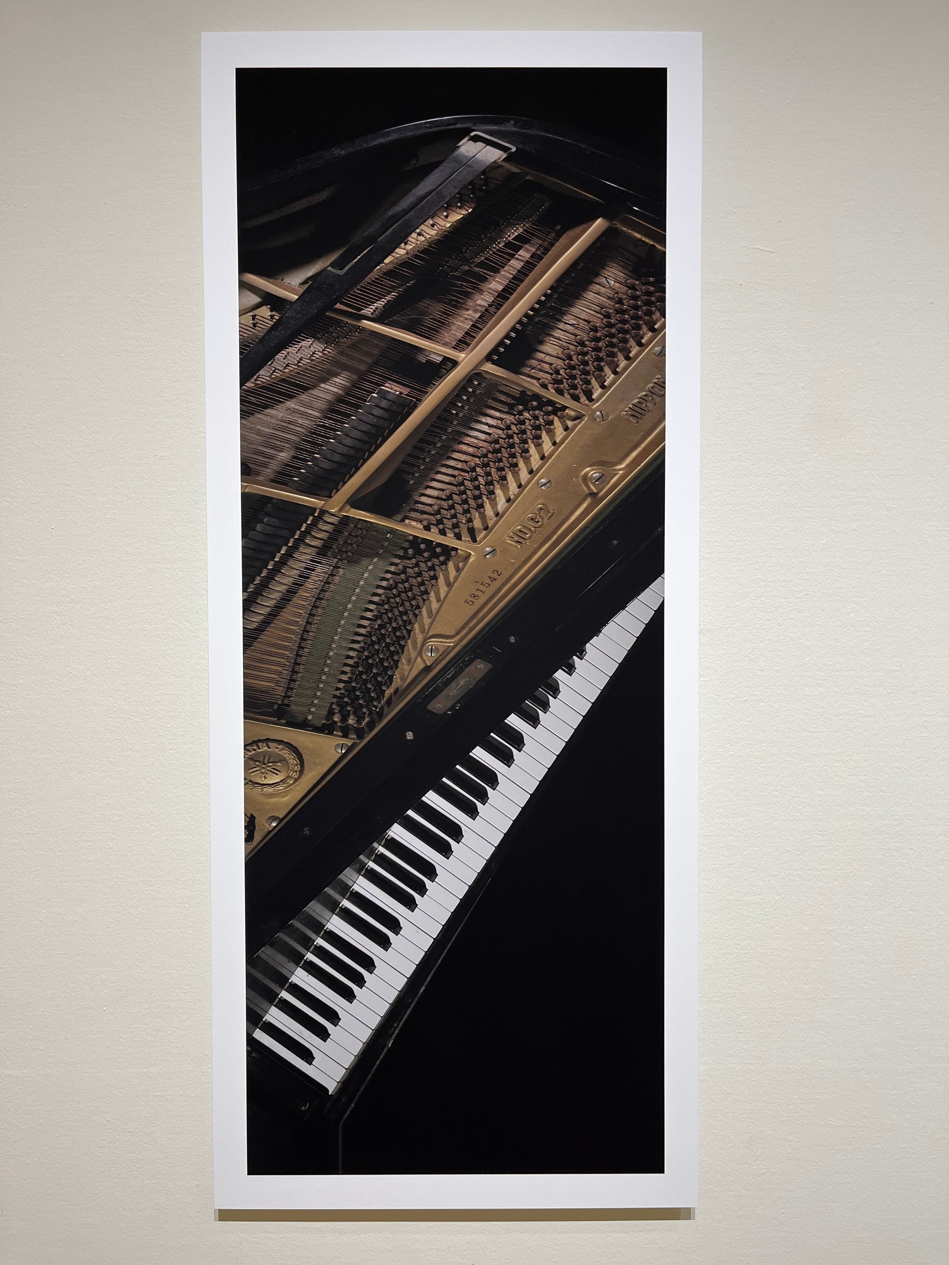 目も、耳も、脳も、坂本龍一の音に浸る ｜西島聡