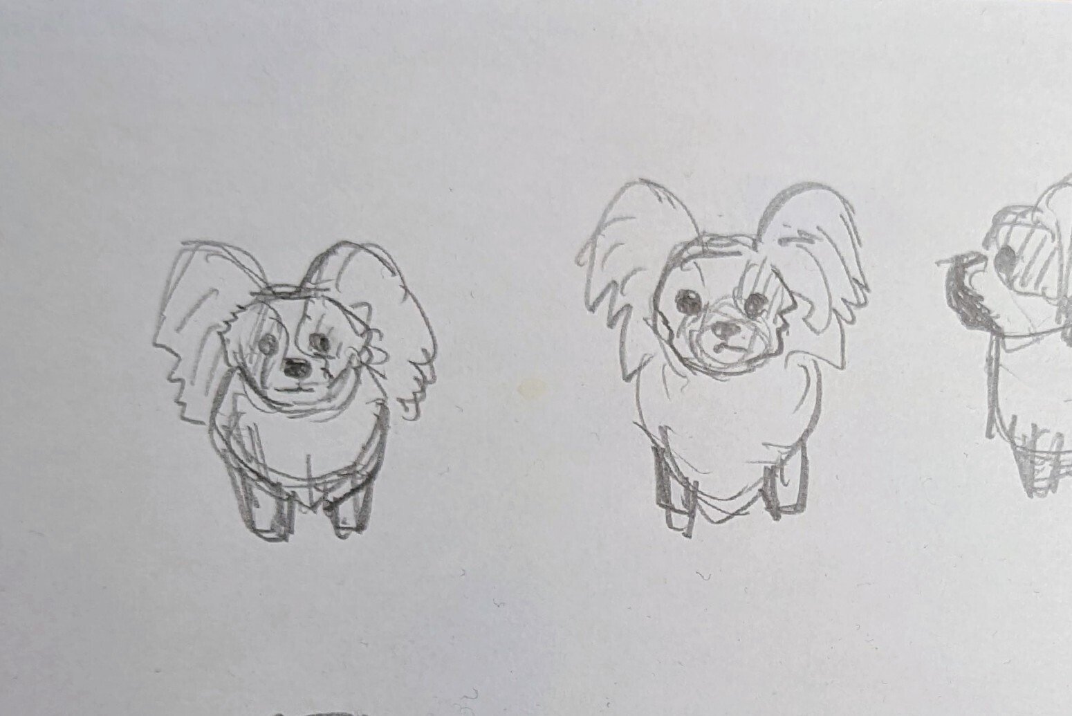 制作メモ パピヨン｜川崎誠二｜KAWASAKI_Seiji