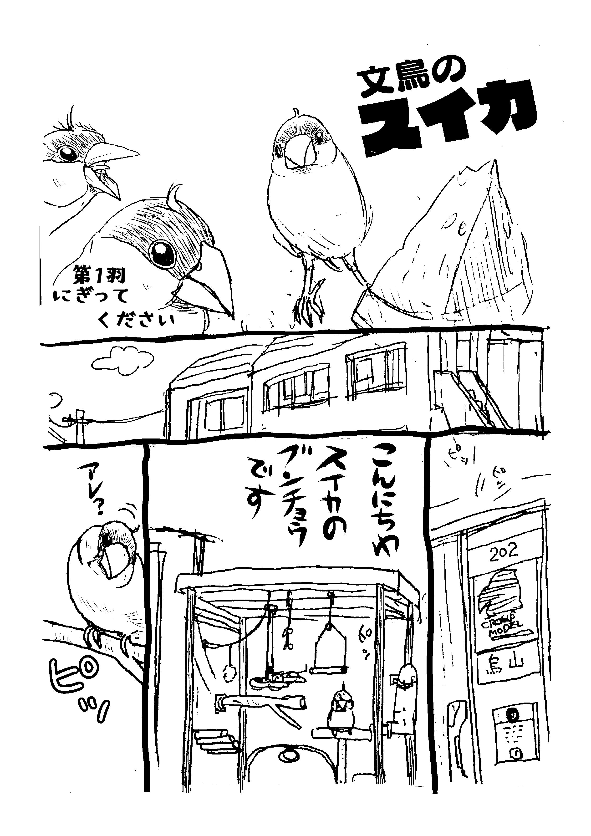 文鳥のスイカ｜ミカぢる