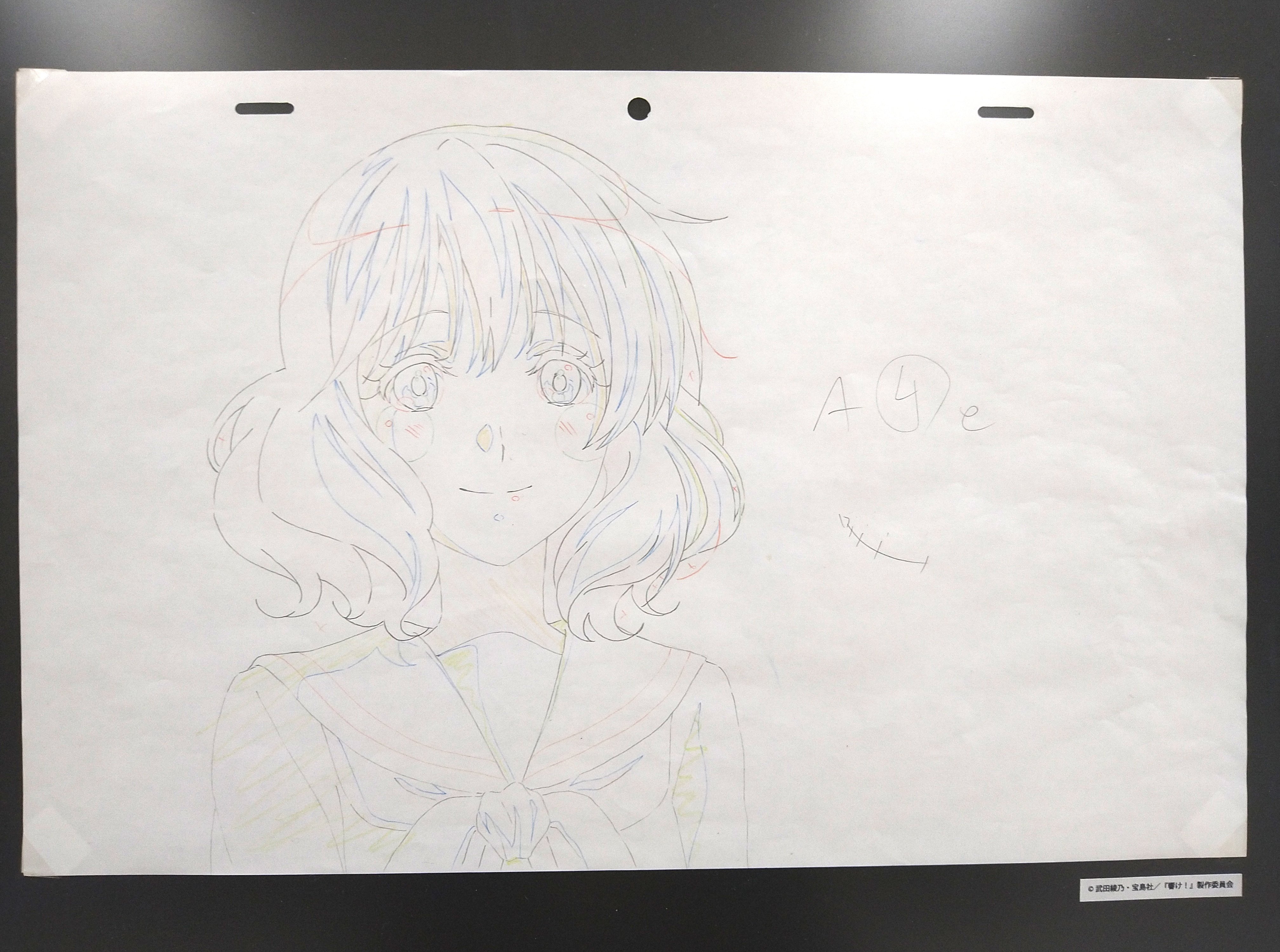 響け！ユーフォニアム　原画集　部員名簿 京都アニメーション 響け!ユーフォニアム2 原画集 -第2楽章