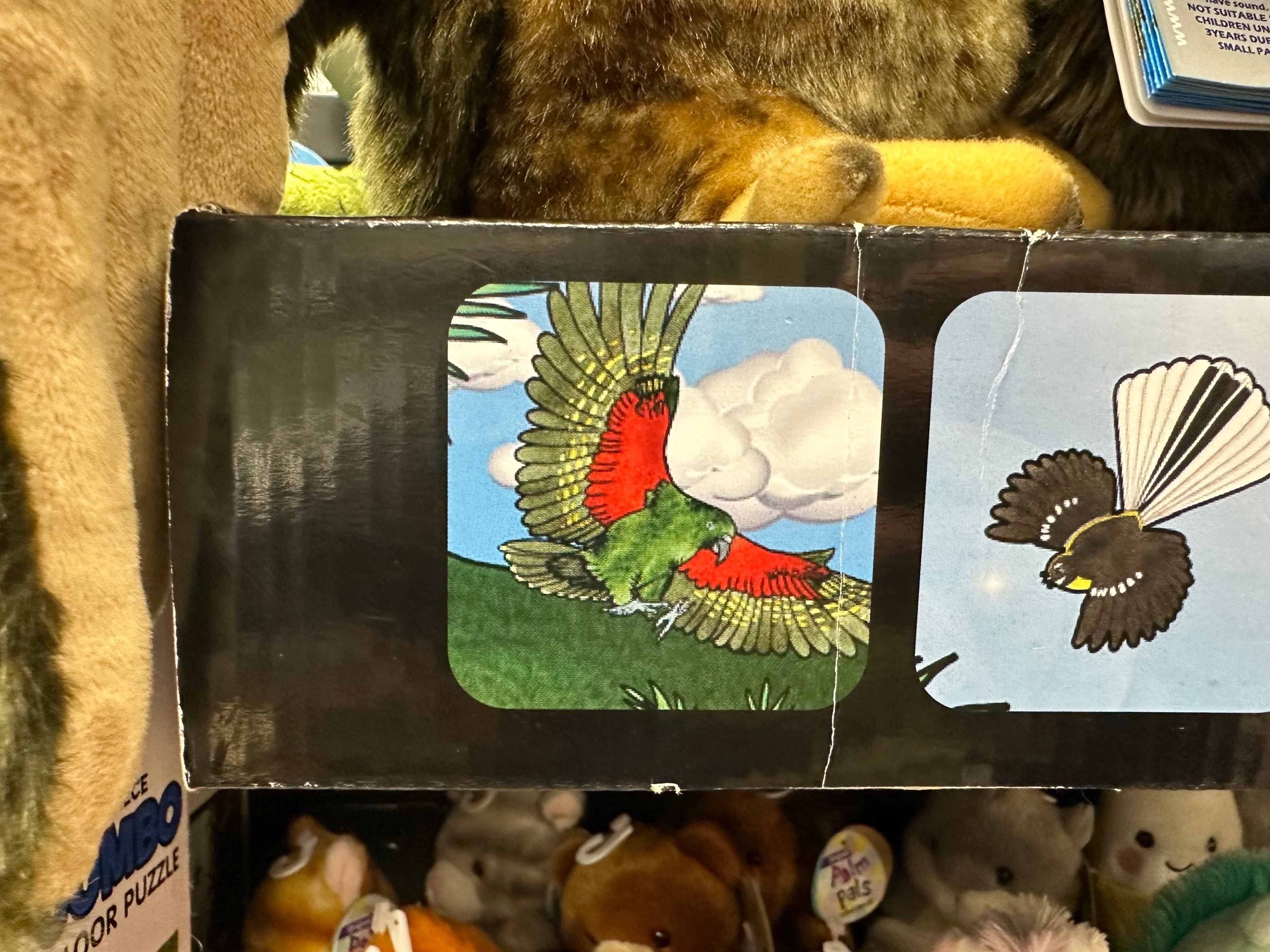 野生のケアに会いに、ニュージーランドに行ってきました｜那須どうぶつ