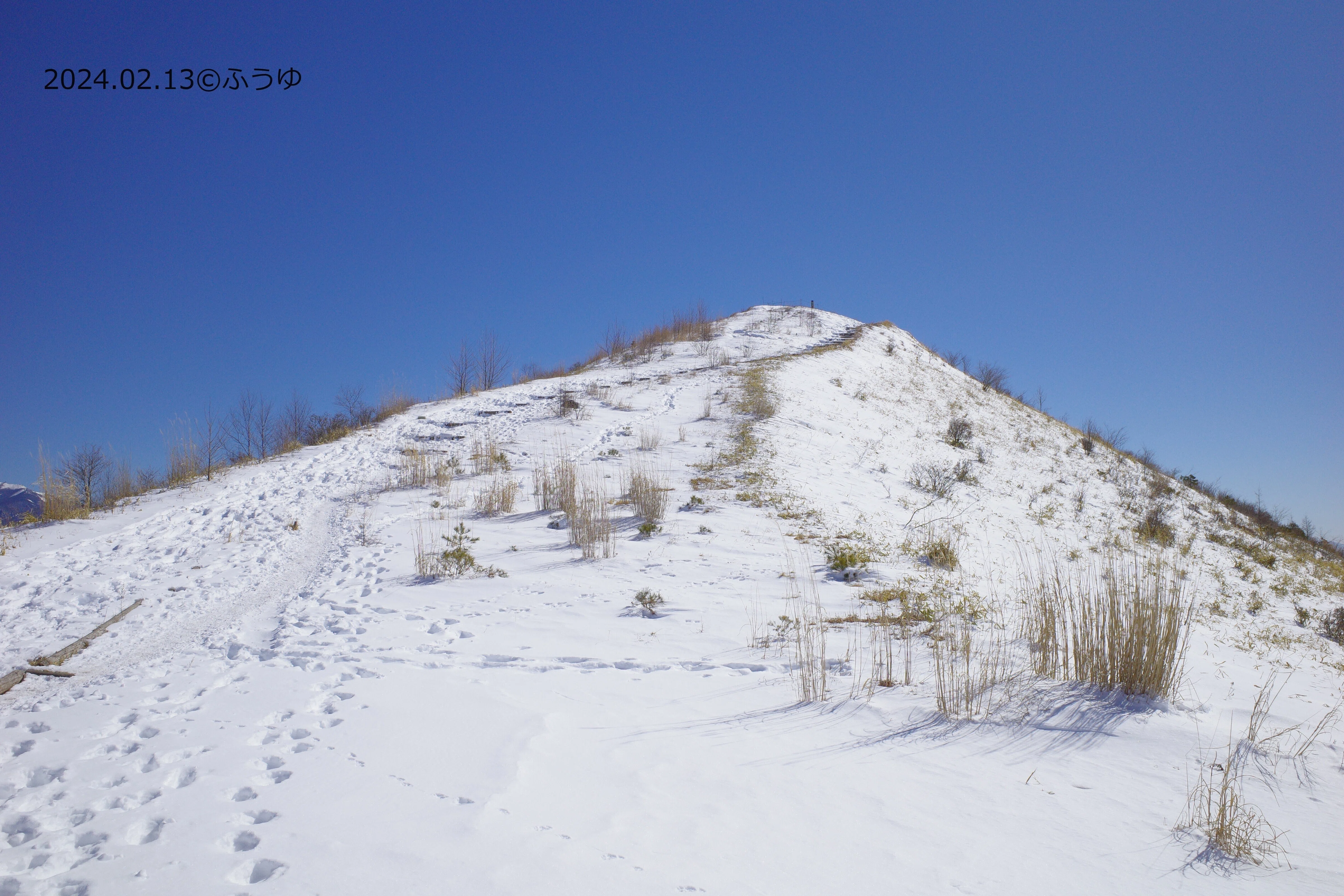 Mountain Hiking Log Step 94] Mt. Iimori (February 13, 2024