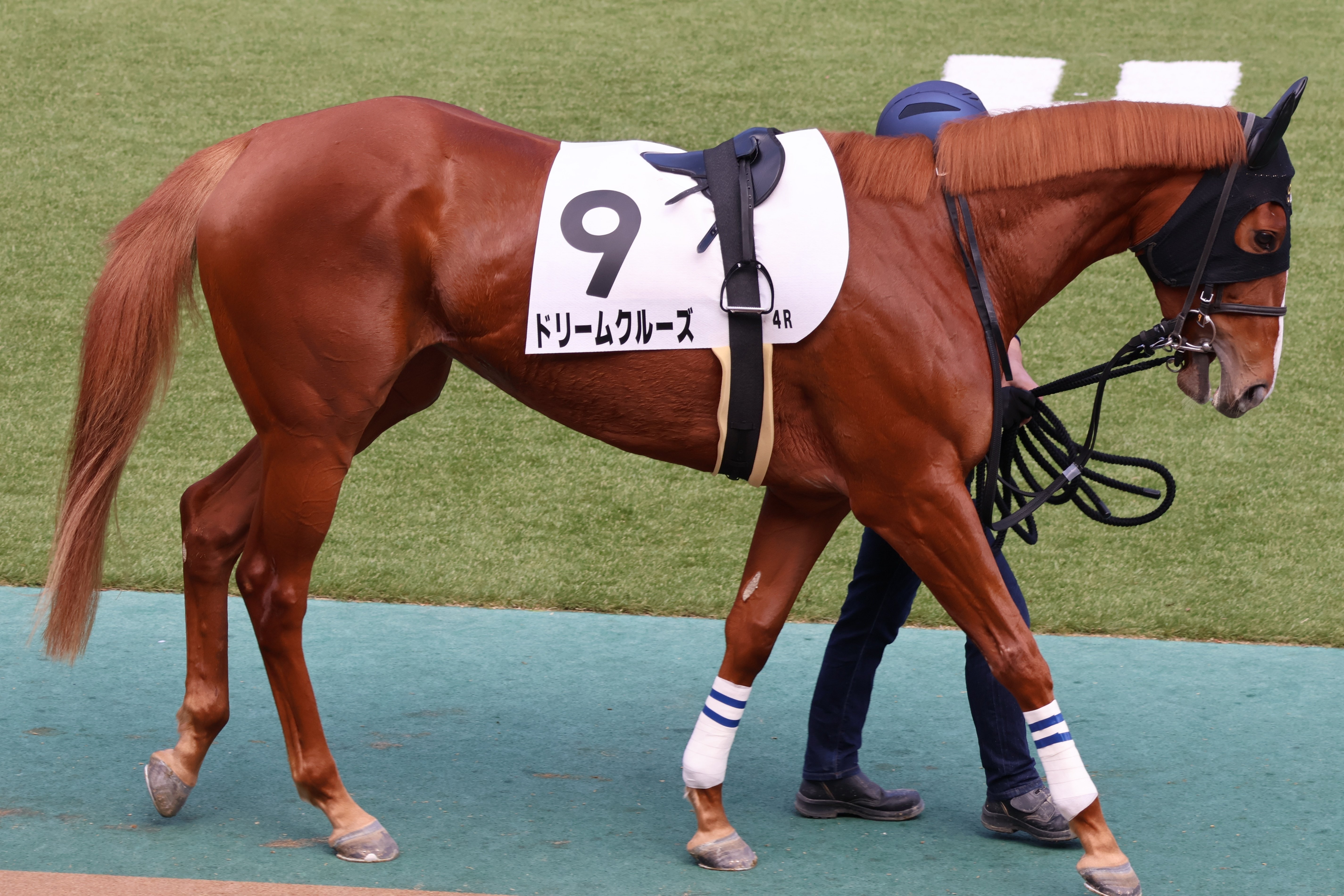 希少】JRAジョッキー レース用鞭 【公式通販】