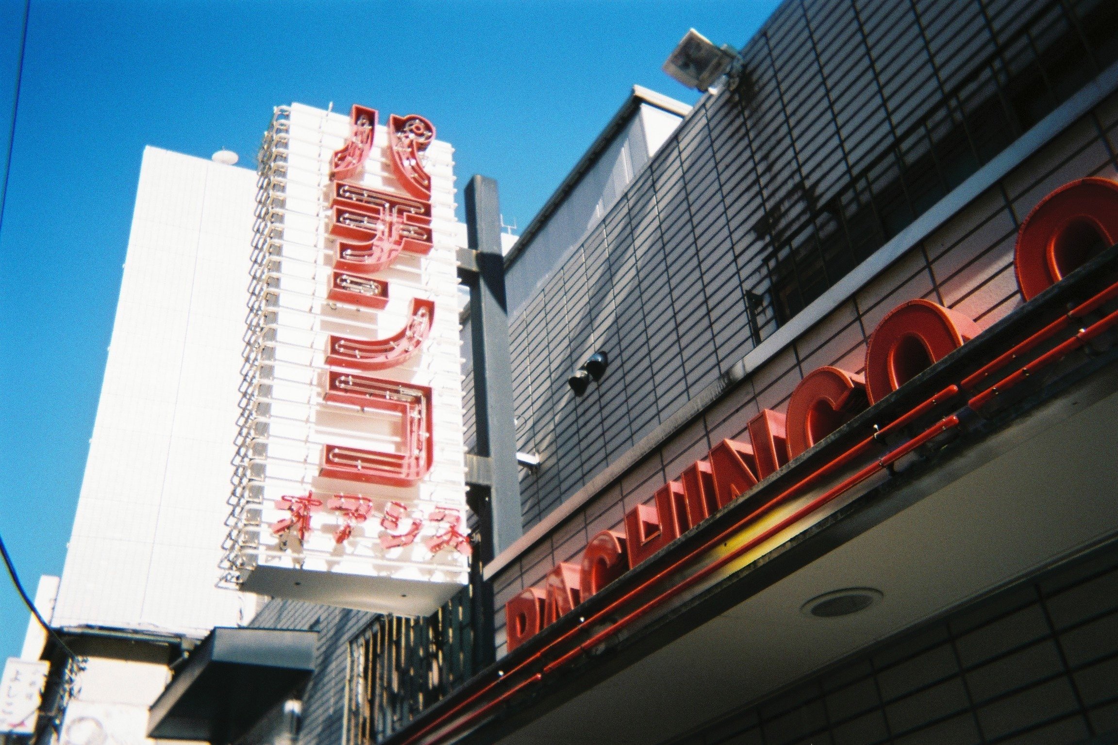 A_019 天気のいい日は写ルンです📷｜Akito_Iwanaga ／ 岩永 昭人
