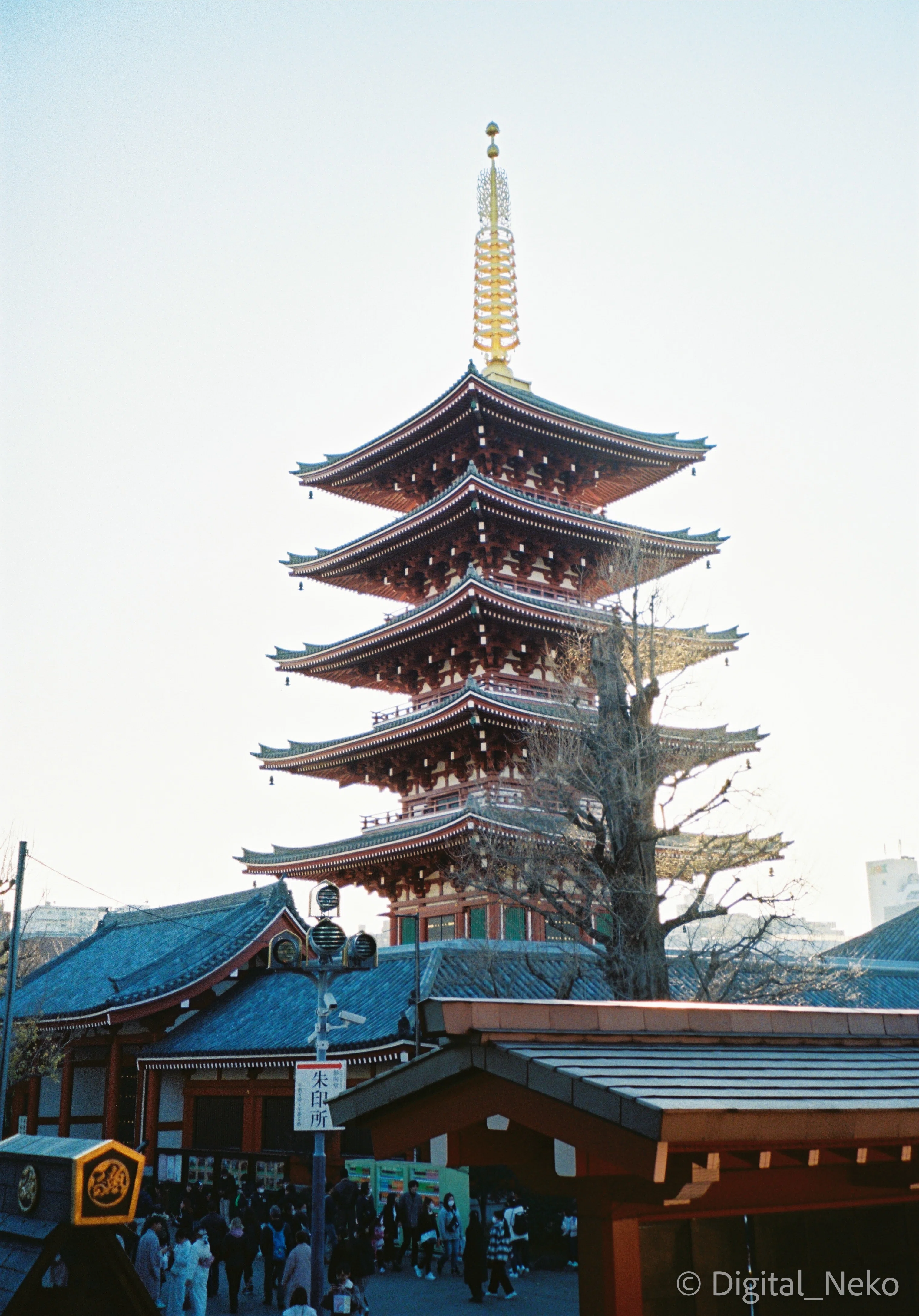 フィルム歩き 浅草 浅草寺とその周辺｜けえる