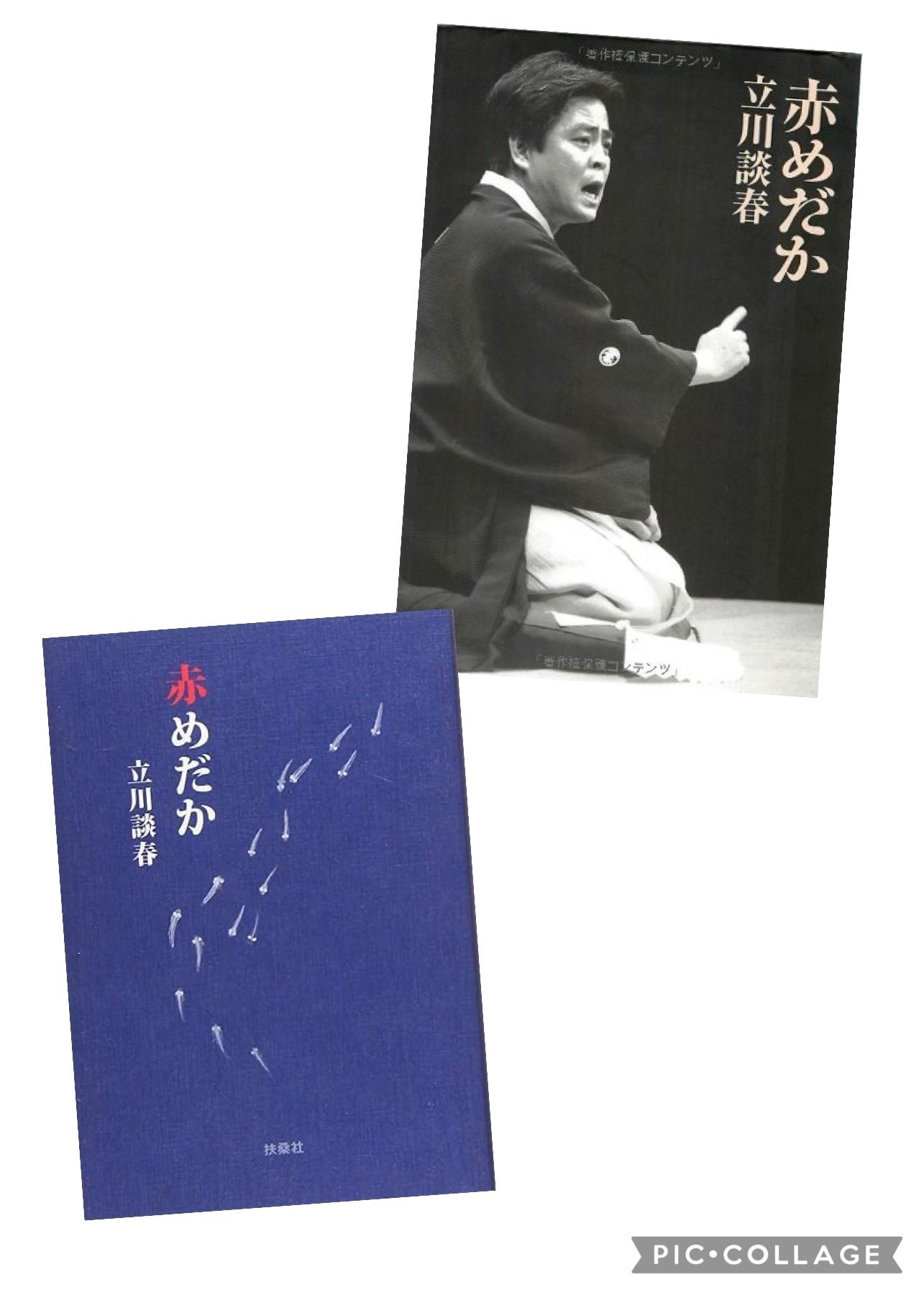 71GxBfp04bL._UF350,350_QL50_.jpg