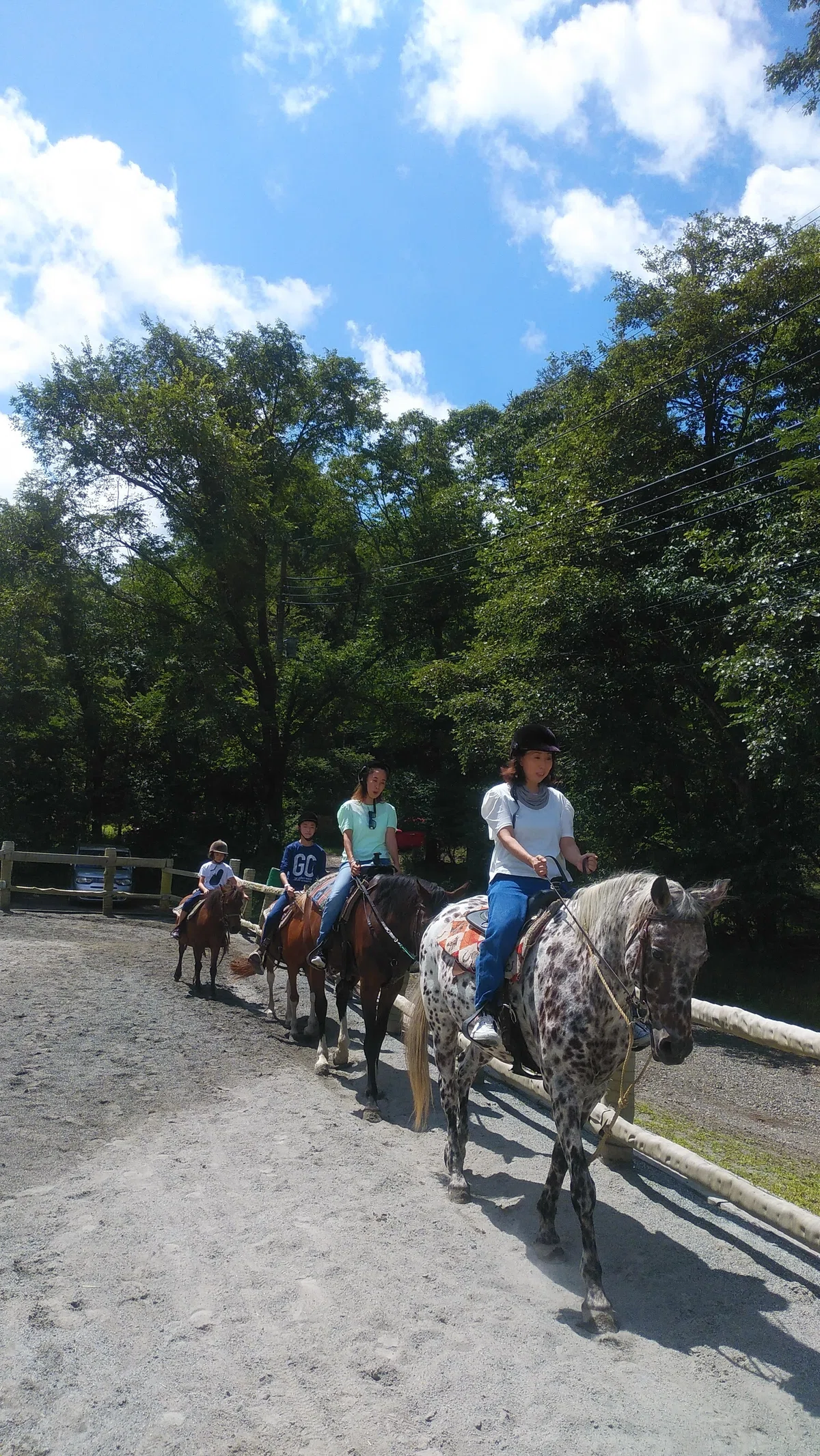 体験乗馬｜CloverShimu