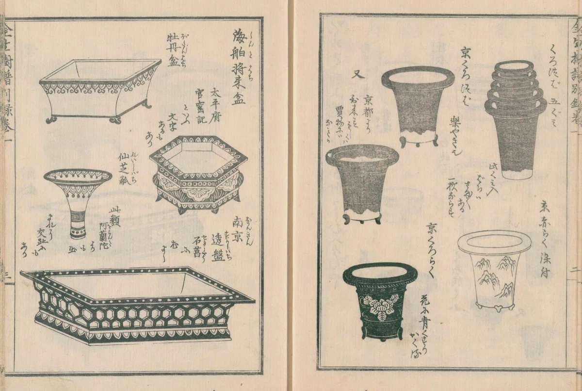 園芸】金生樹譜別録 巻一｜mominaina