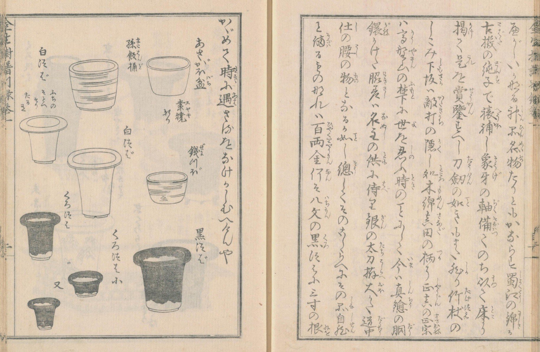 園芸】金生樹譜別録 巻一|mominaina 園芸】金生樹譜別録 巻一|mominaina