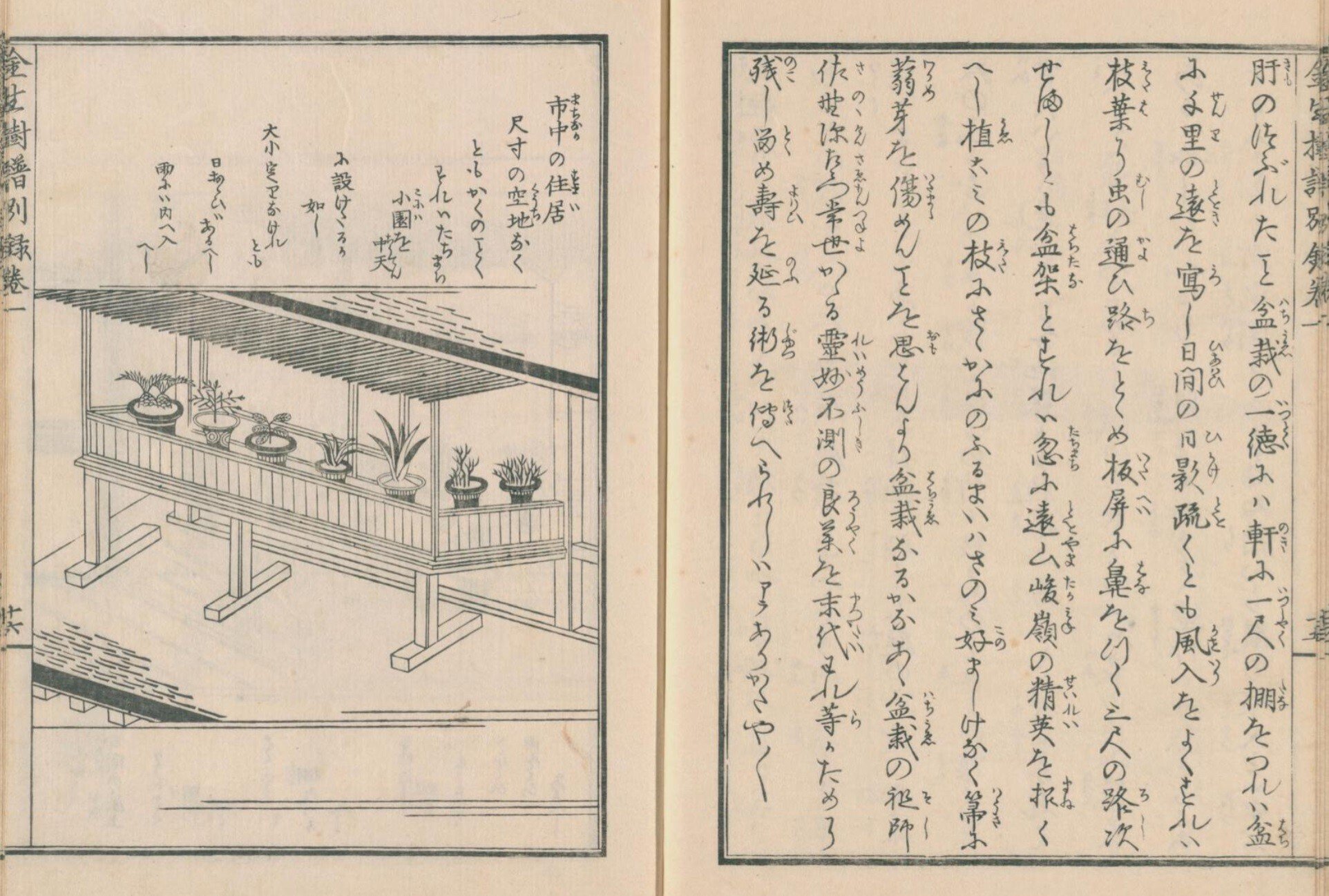 園芸】金生樹譜別録 巻一｜mominaina