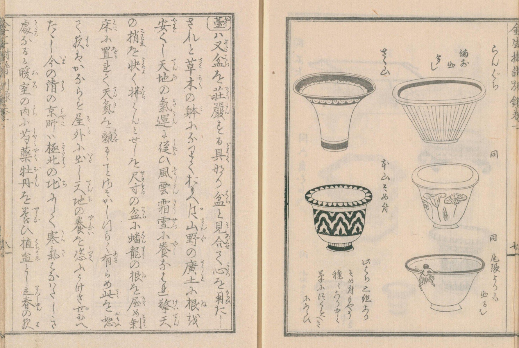 園芸】金生樹譜別録 巻一｜mominaina