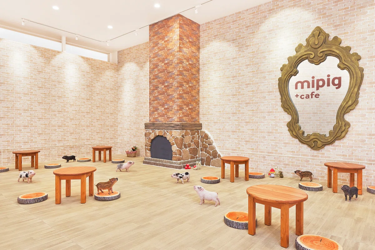 絵本のような世界観で表現する、mipig cafe の店舗デザイン。マイクロ 