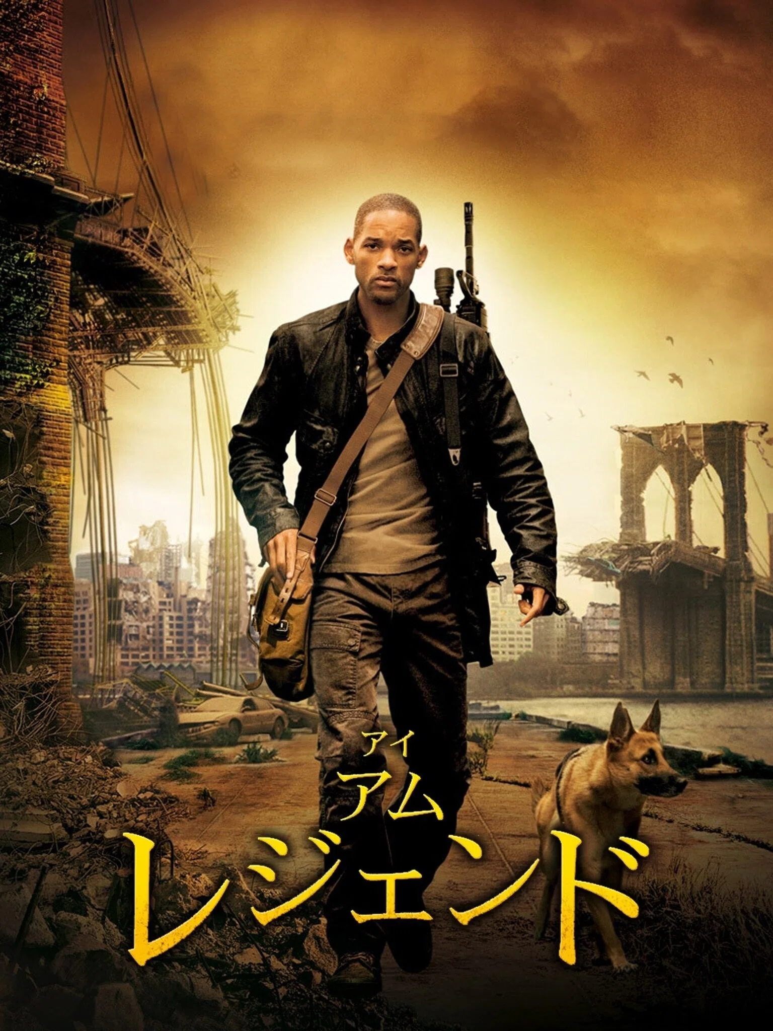 お値下げ　入手困難　貴重　レア　Movies universe 映画　辞典歴史 熊本県で「THE MUMMY／ザ・マミー 棺の中の少女」を上映中の映画館