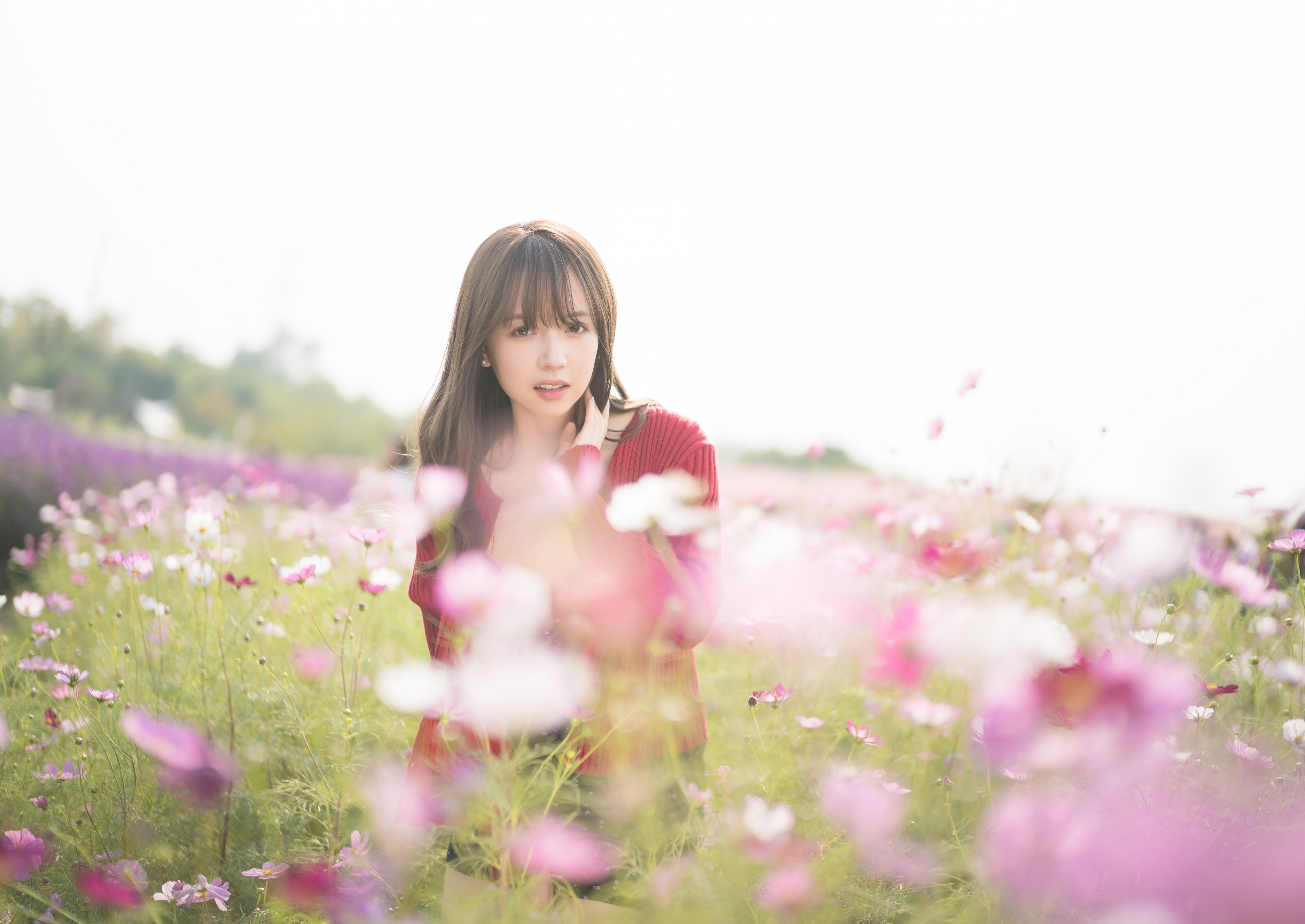 これぞ最高峰： Leica SUMMILUX-M 50mm F1.4 ASPH. レビュー