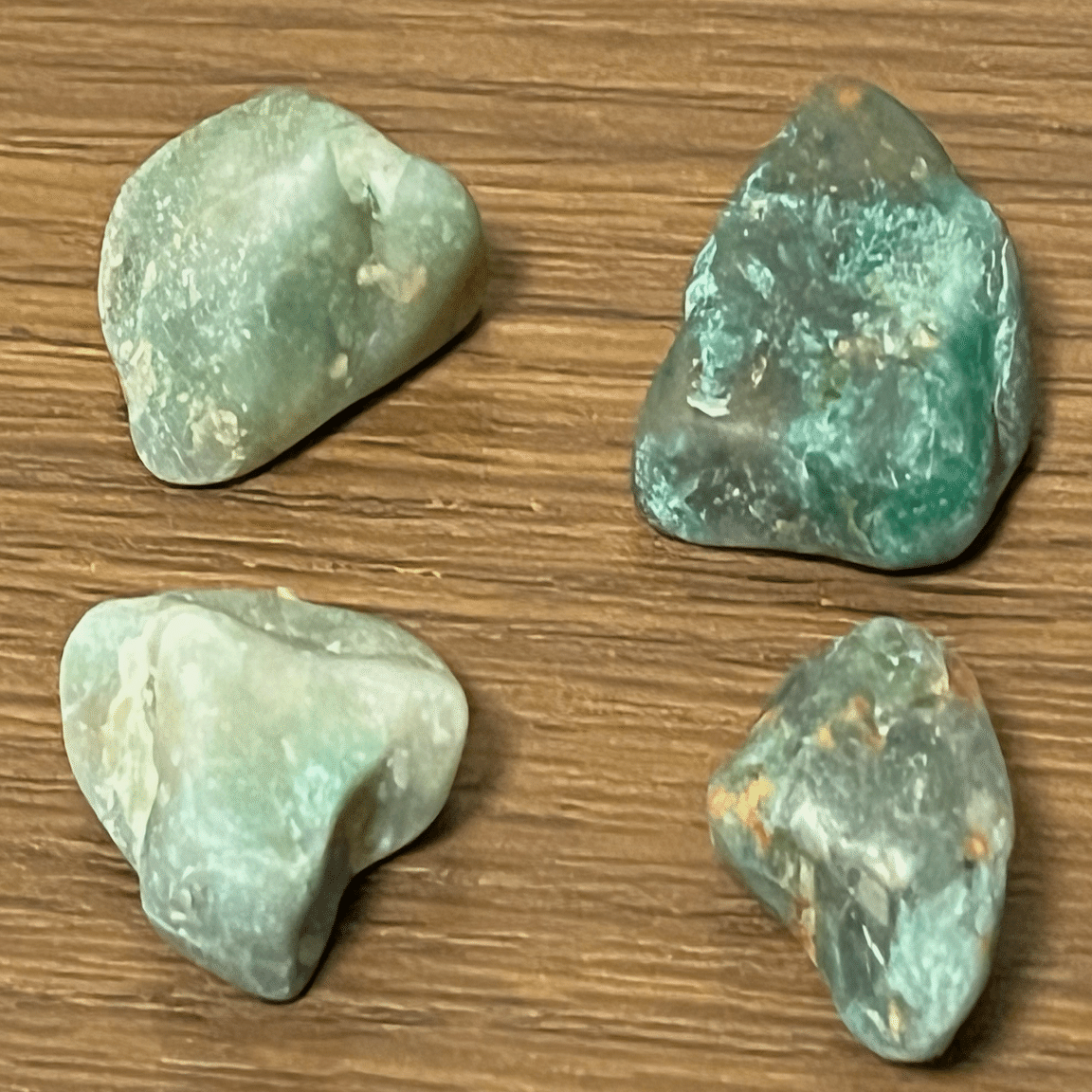 海の宝石を求めて（翡翠を探す旅 part3）｜TAGO｜タゴライン／コピー