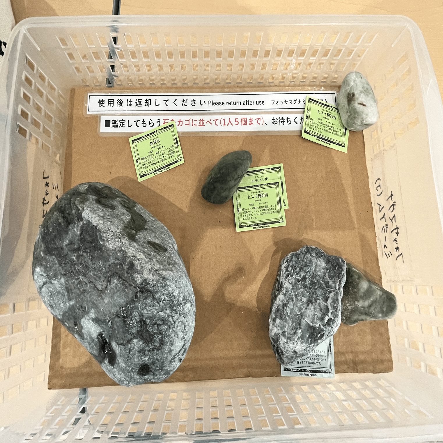 海の宝石を求めて（翡翠を探す旅 part3）｜TAGO｜タゴライン／コピー