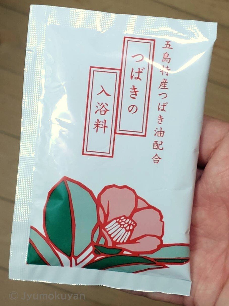 植物を訪ねて ～五島列島の椿～｜じゅもくやん