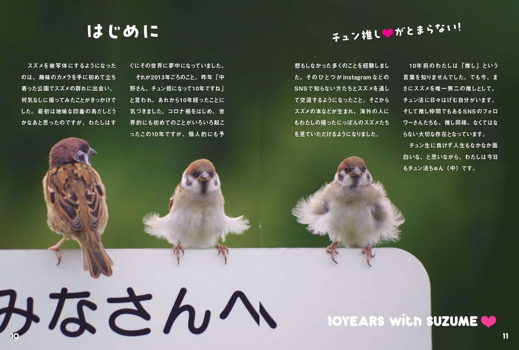 チュン推しが止まらない!【にっぽんスズメ日誌】｜カンゼン