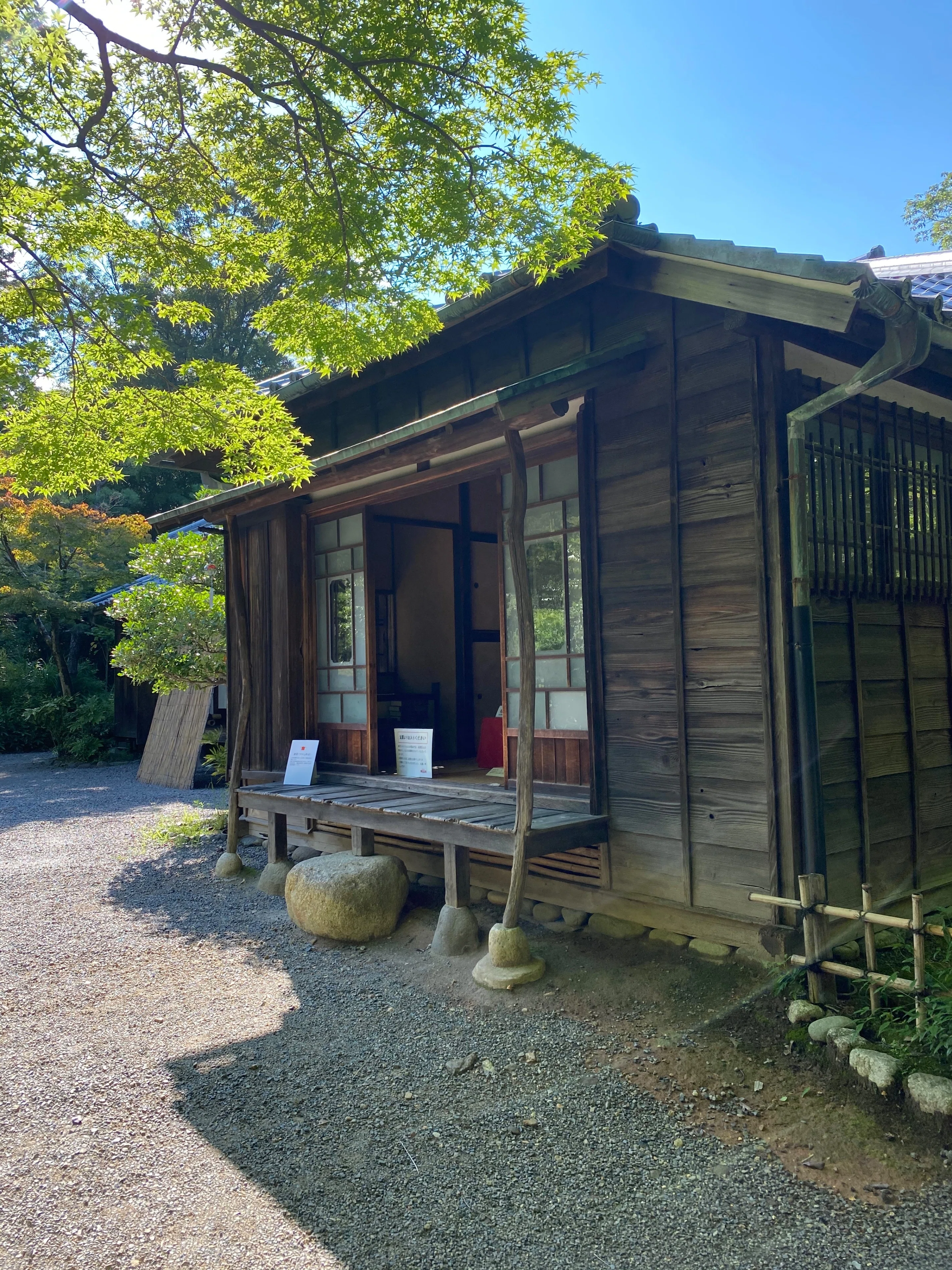 ネコの家🐈 「旧夏目漱石邸」｜ヒトミ🏠建築好きnoter