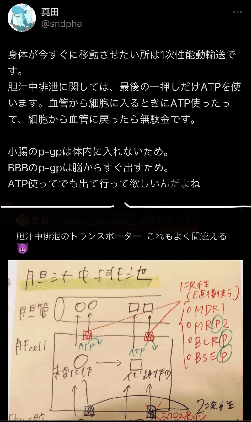 薬剤師国家試験】3ヶ月で8割5分とる勉強法｜真田