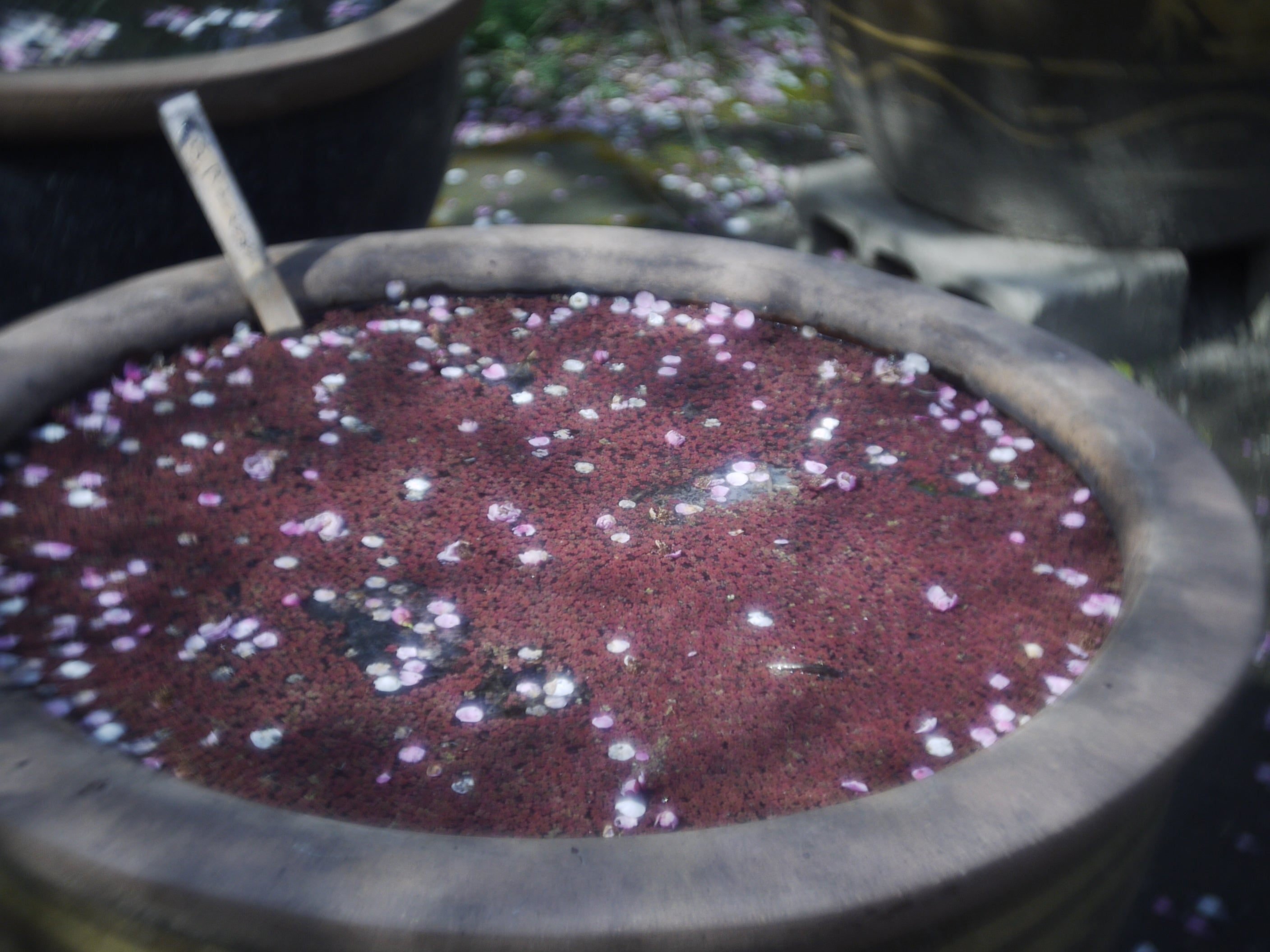 Dallmeyer Speed anastigmat 1inch F/1.5は挑戦的なハイスピードレンズ