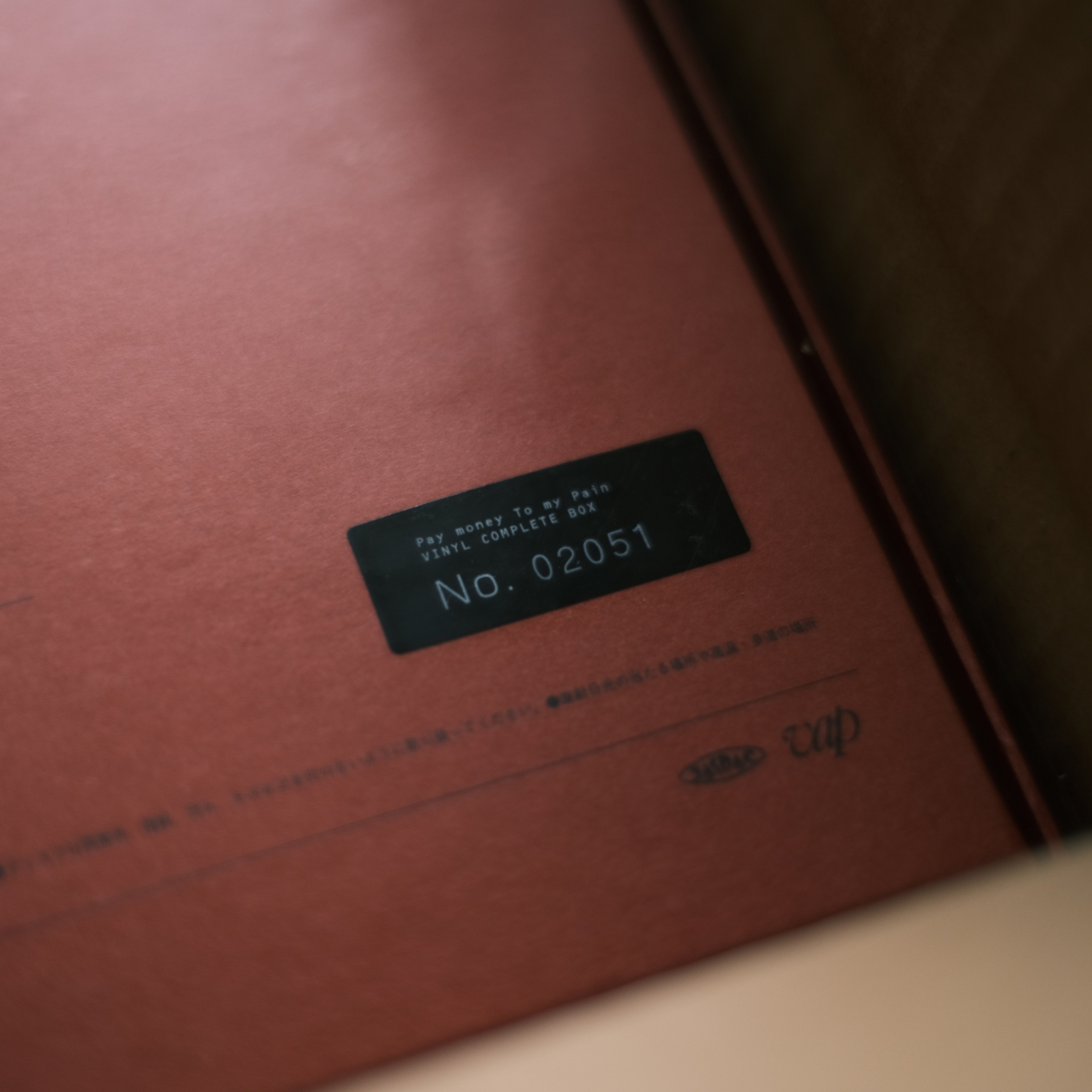 Pay money To my Pain / Vinyl COMPLETE BOX ※VAP STORE限定 完全生産