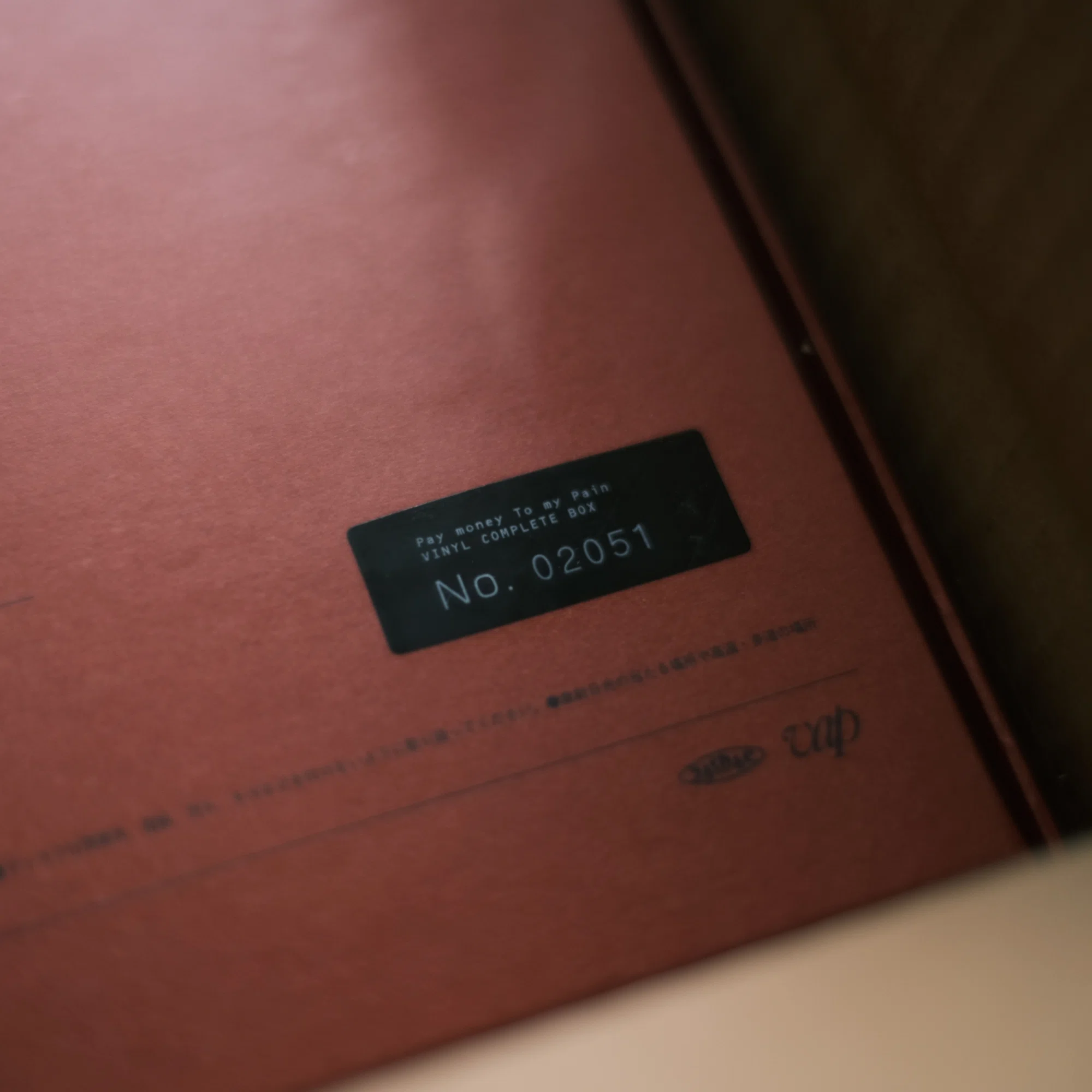 Pay money To my Pain / Vinyl COMPLETE BOX ※VAP STORE限定 完全生産 