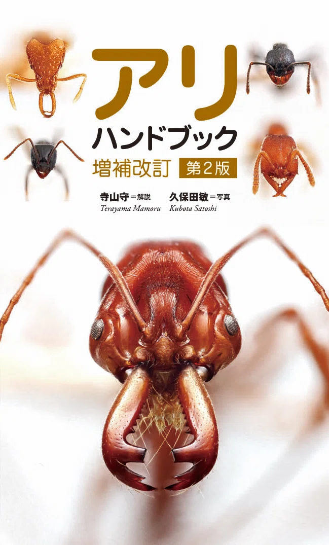 蟻さくらおまとめページ a2918962096_5.jpg