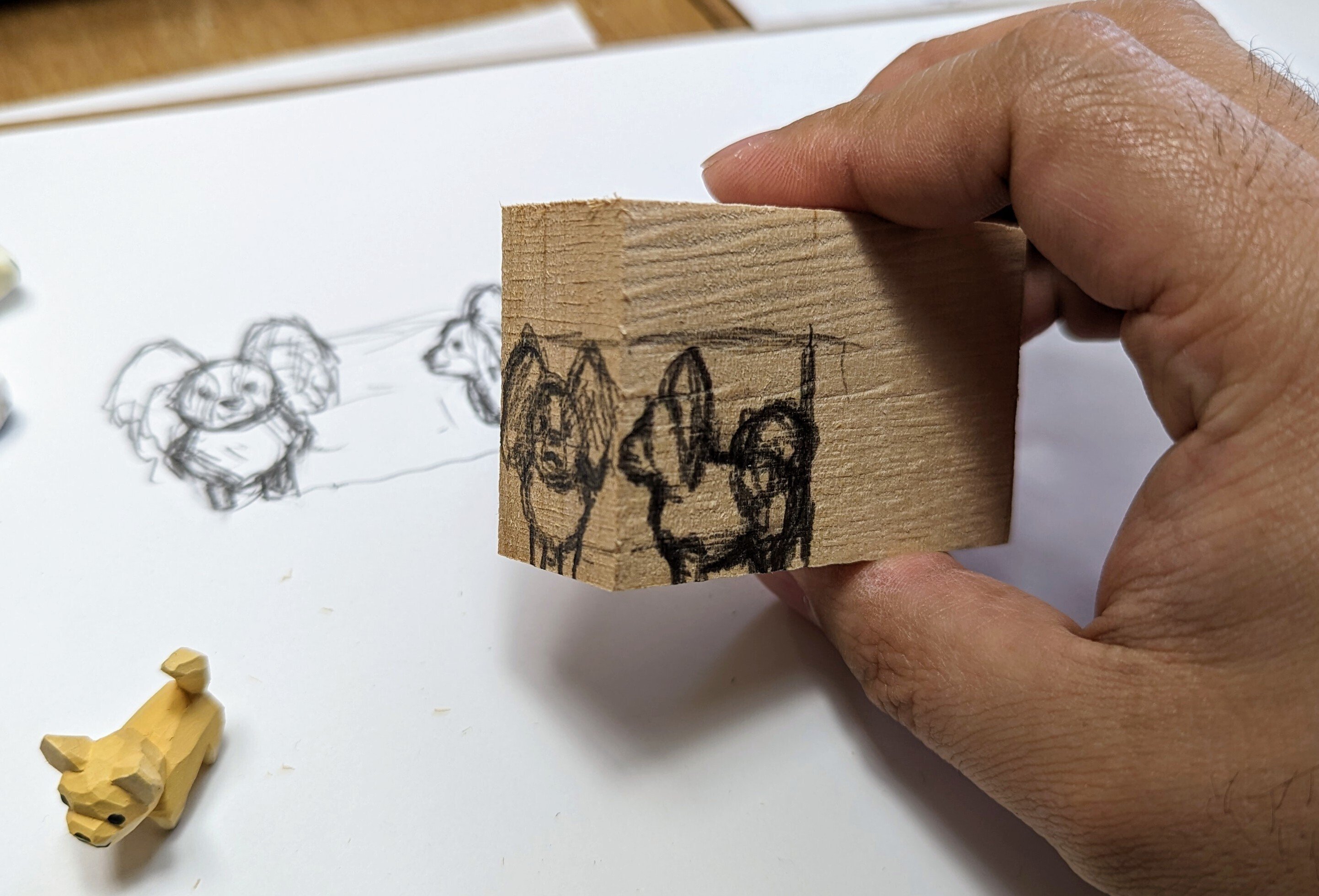 制作メモ パピヨン｜川崎誠二｜KAWASAKI_Seiji