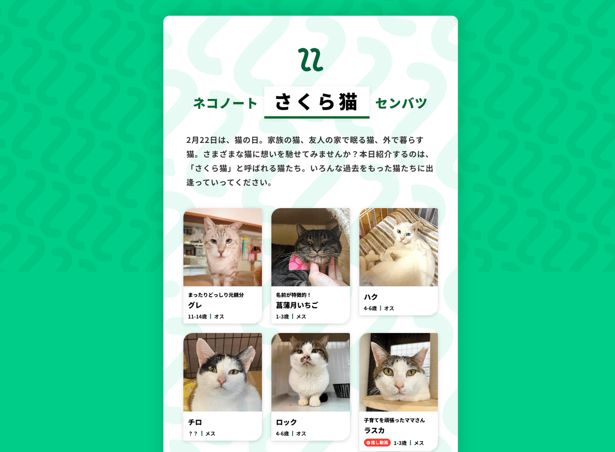 パネル生地 さくらねこ☆☆専用 飼い猫 さくら耳にされた 3月22日はさくらねこの日 – どうぶつ