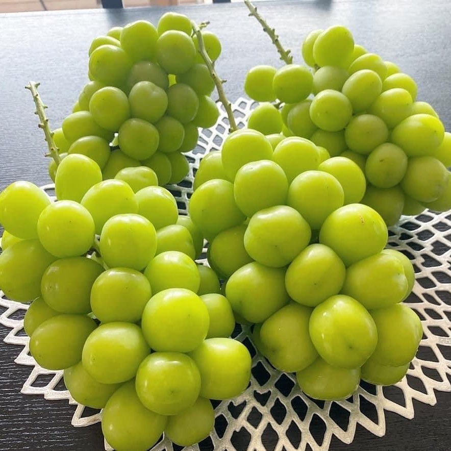 名水溢れる甲府盆地で現役エンジニアが実らせる大粒シャインマスカット