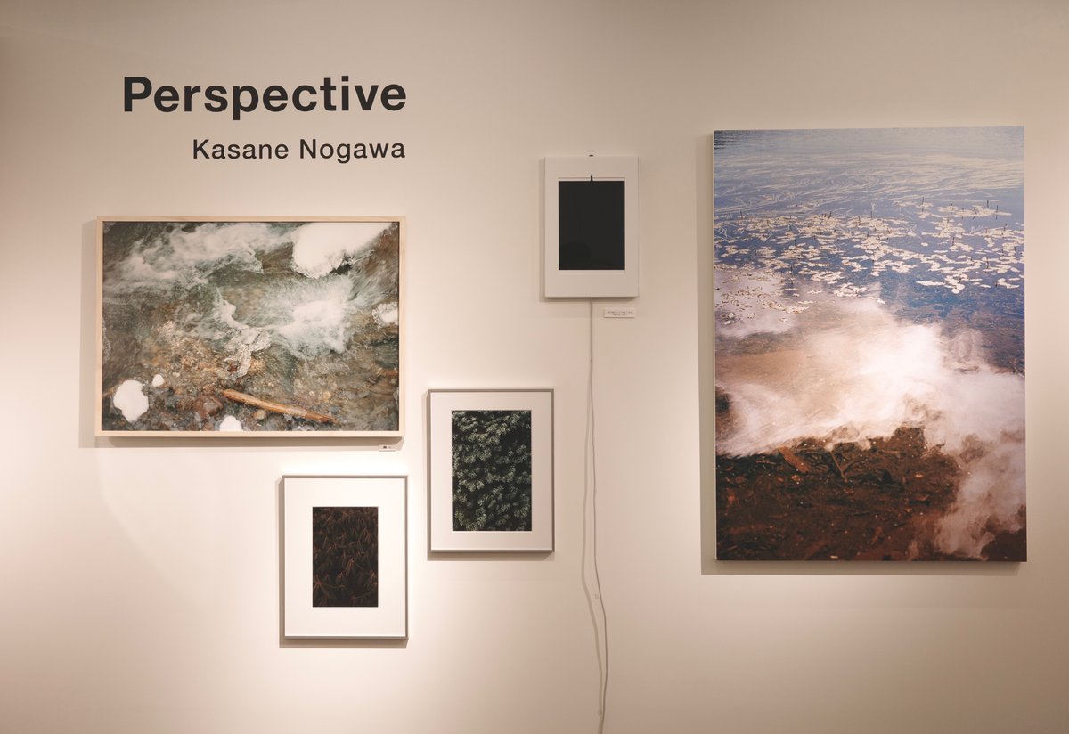 野川葵 野川かさねさん 「Perspective」 - and wander OUTDOOR GALLERY｜Kazuo Yoshida