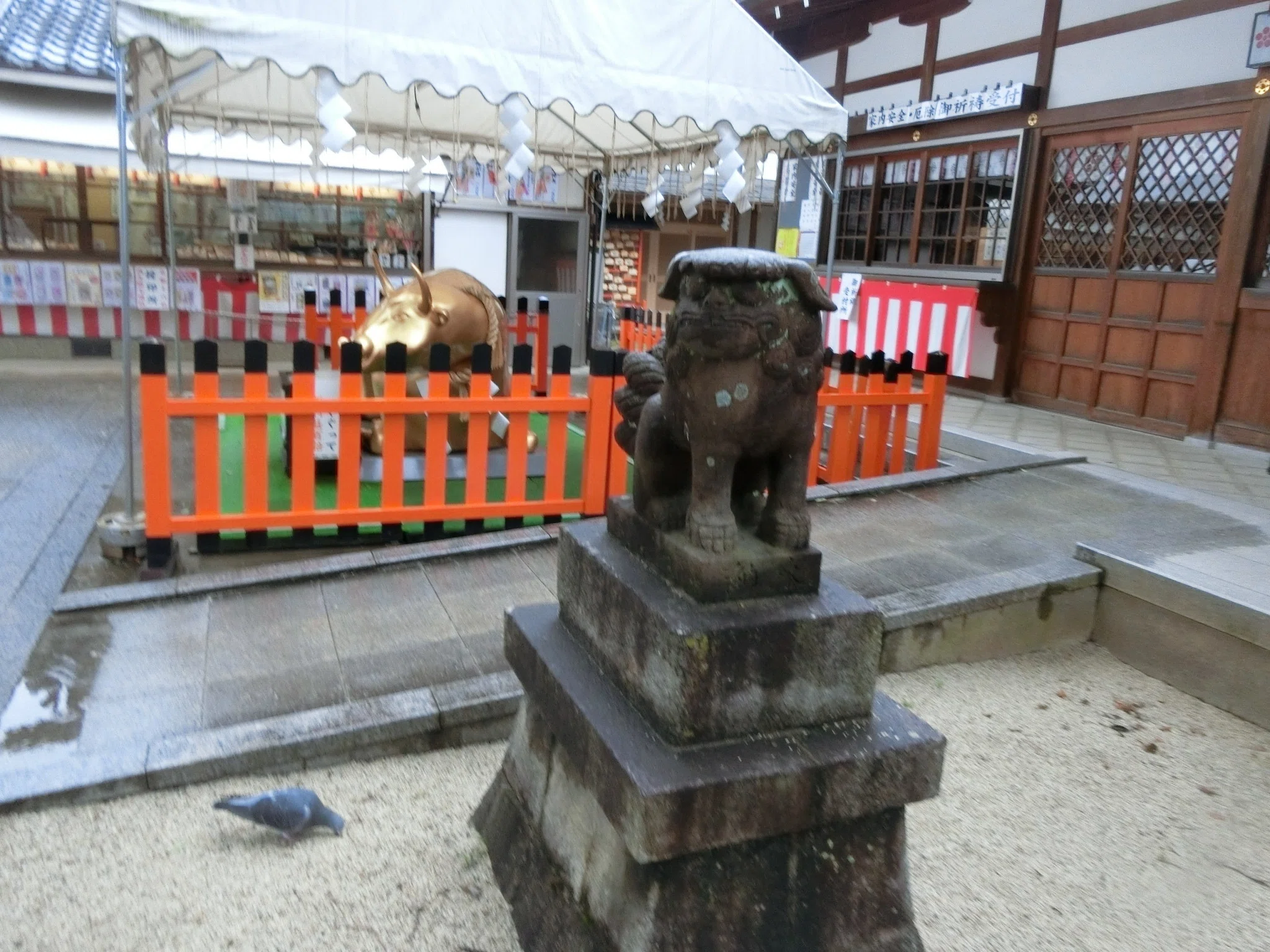 菅原道真誕生「吉祥院天満宮」金の牛撫でて潜れ!?キティちゃん【京都南
