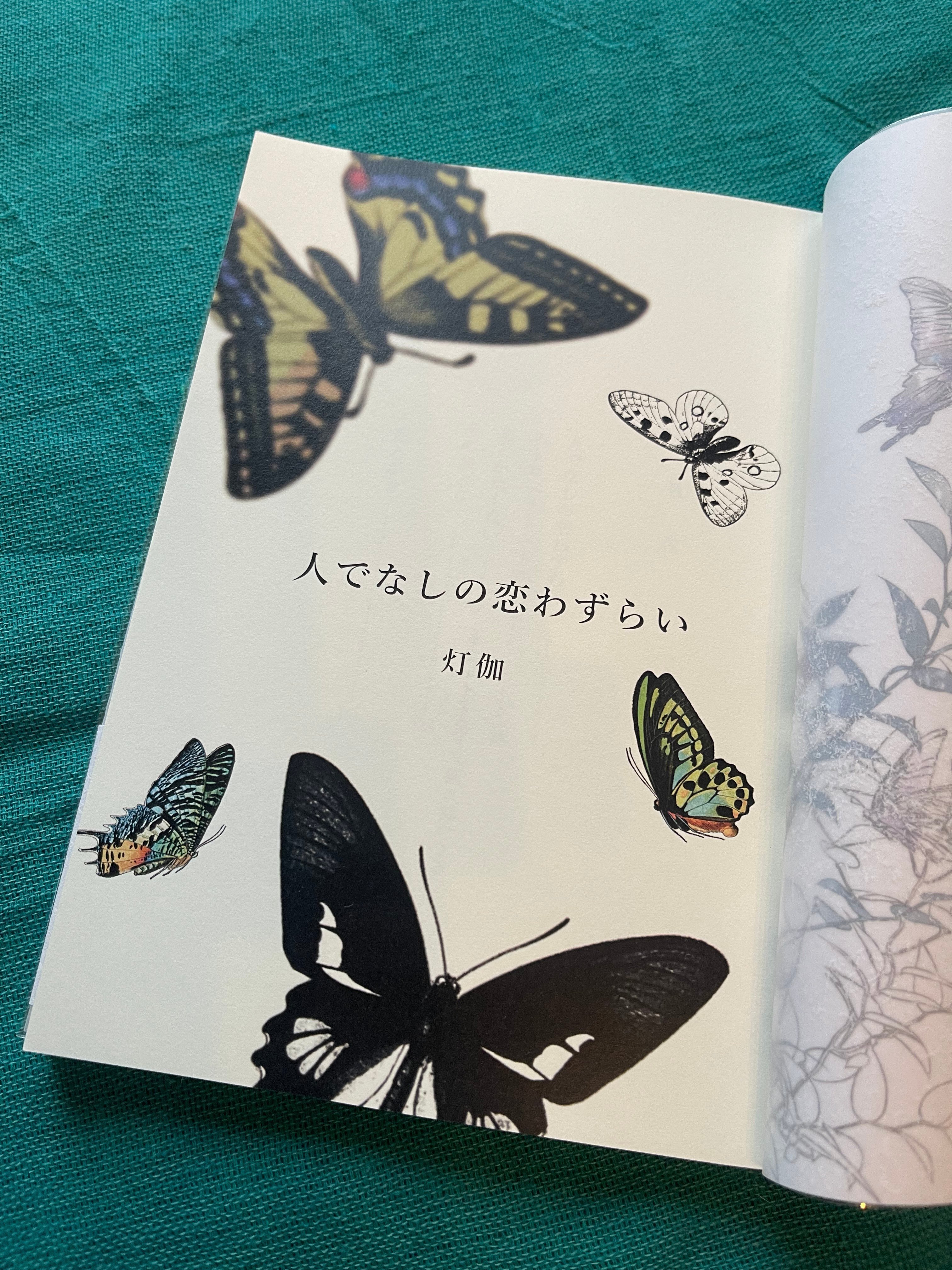 ザ・ルースターズ/アーリー・ベスト」 スコア ブック 絶版品 My