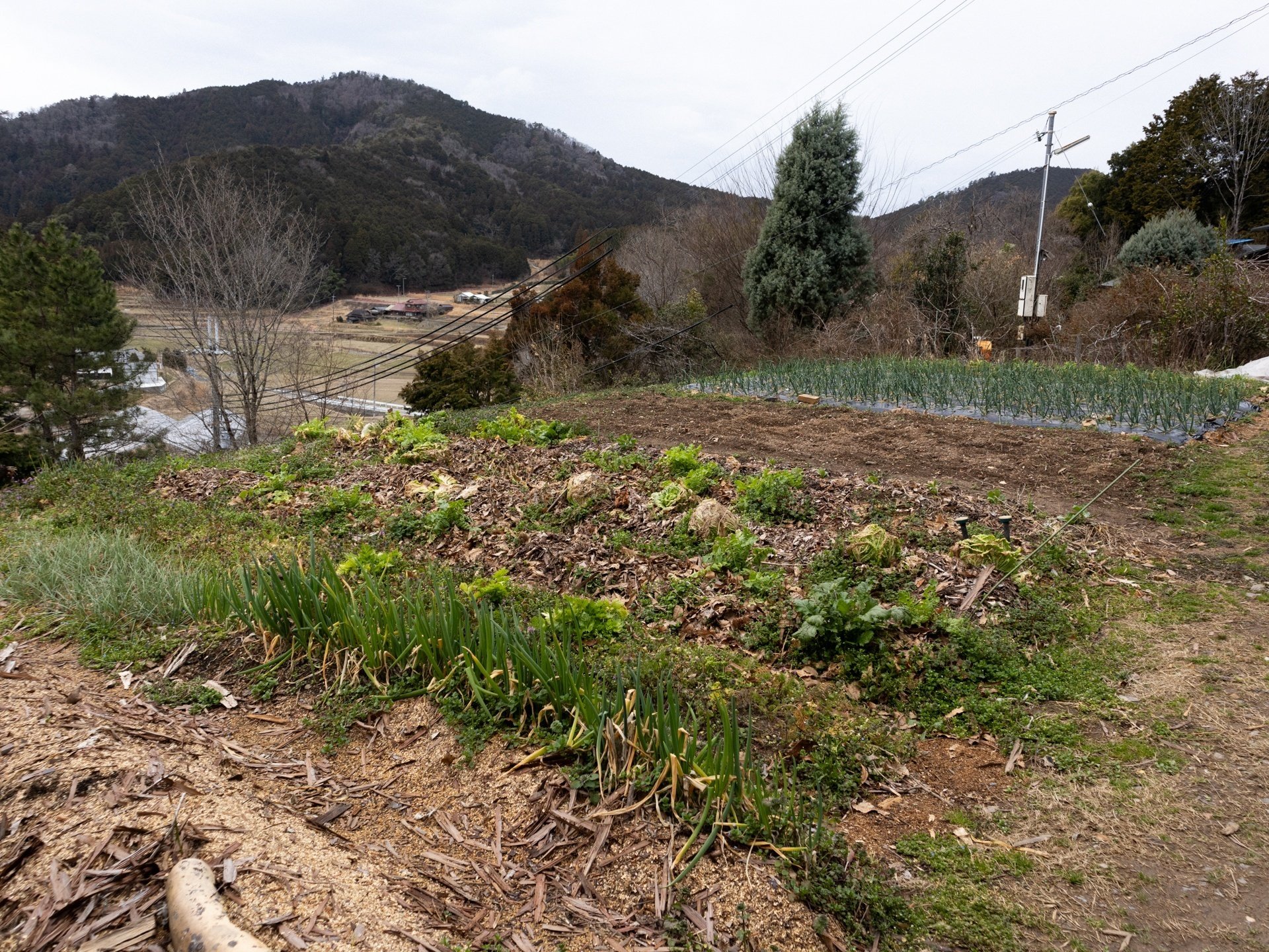 工房探訪記】高野山で見た森岡成好さん、由利子さんの焼き物屋