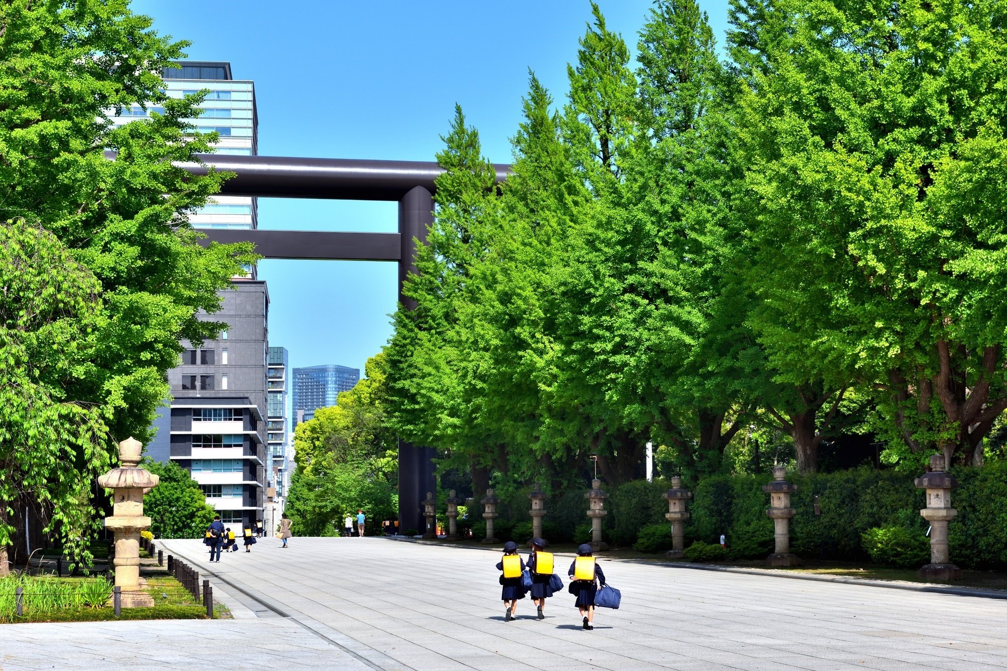 白百合学園幼稚園】2024年 受かる子が通う幼児教室｜絶対合格