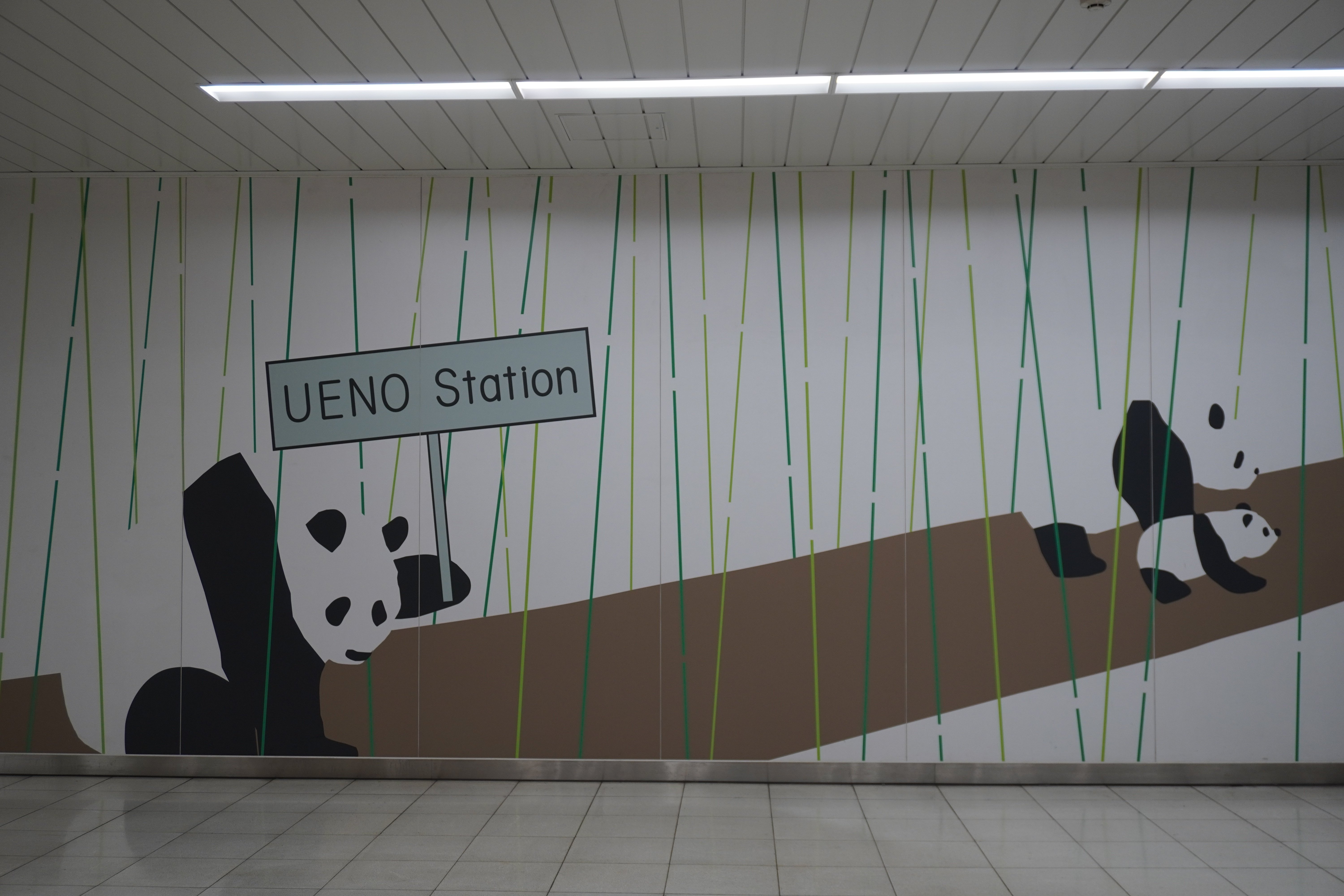 ZASO:199】長野県 #地獄谷野猿公苑｜ZASOちゃんねる