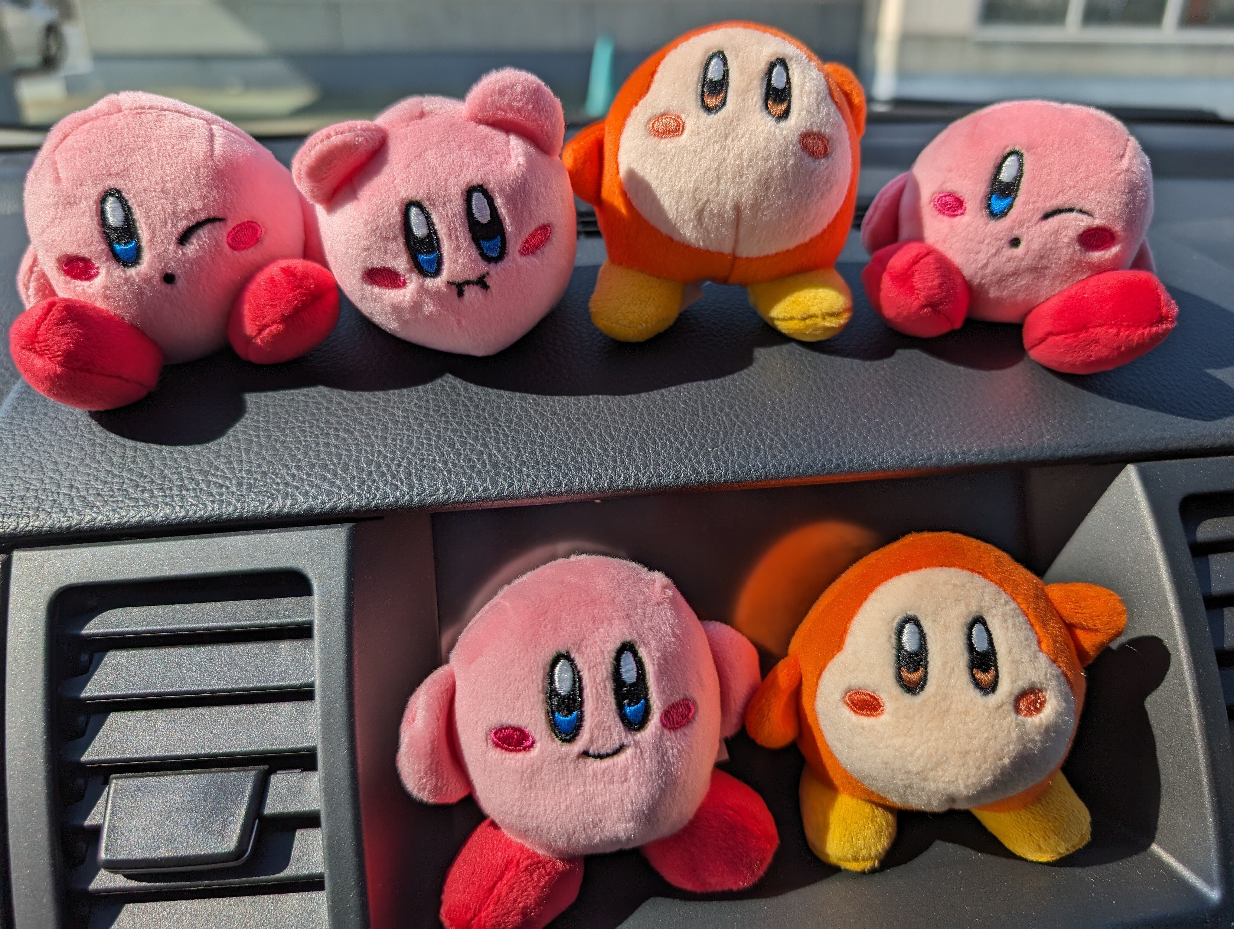 2024年2月24日 わにゃ〜｜ひつじ