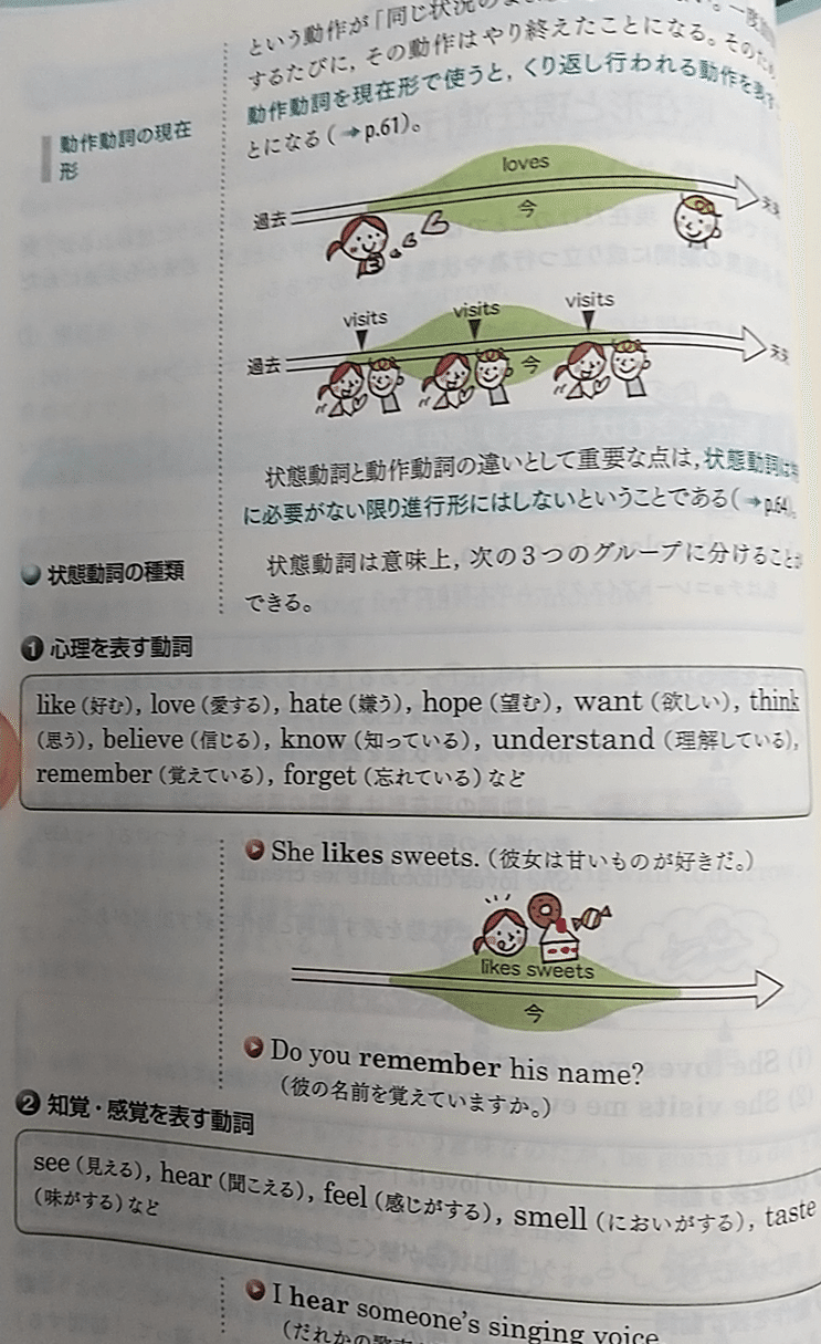 医学部にも対応！英文法勉強法（Next Stage、Evergreenの使い方）｜こ